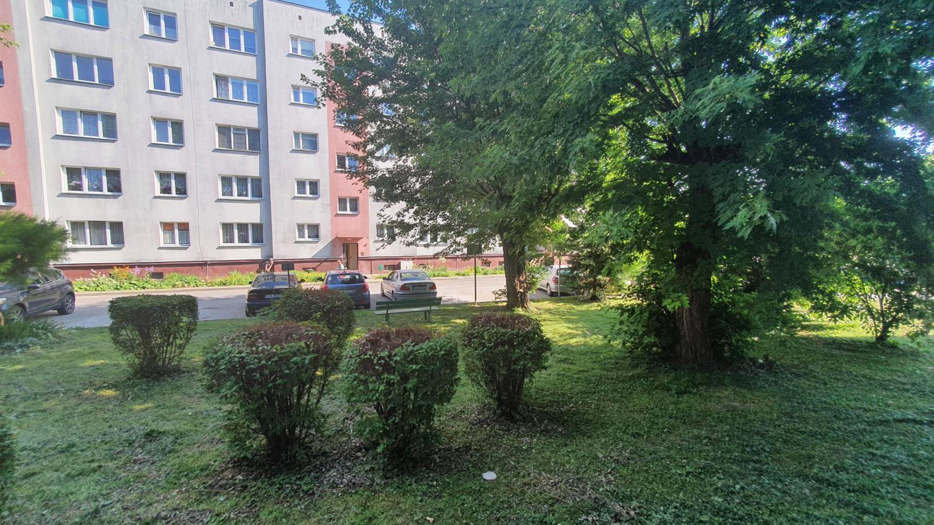 Photo 28