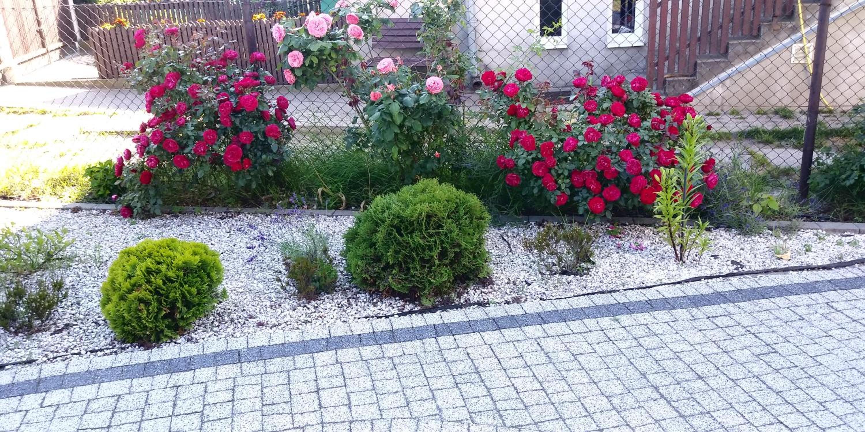 Apartament Nadmorski view 5