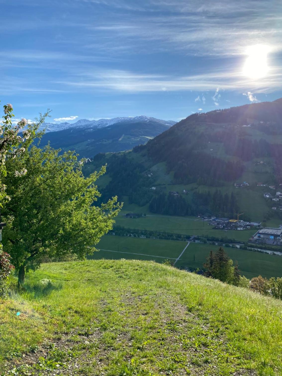 Apart Edelweiss view 2
