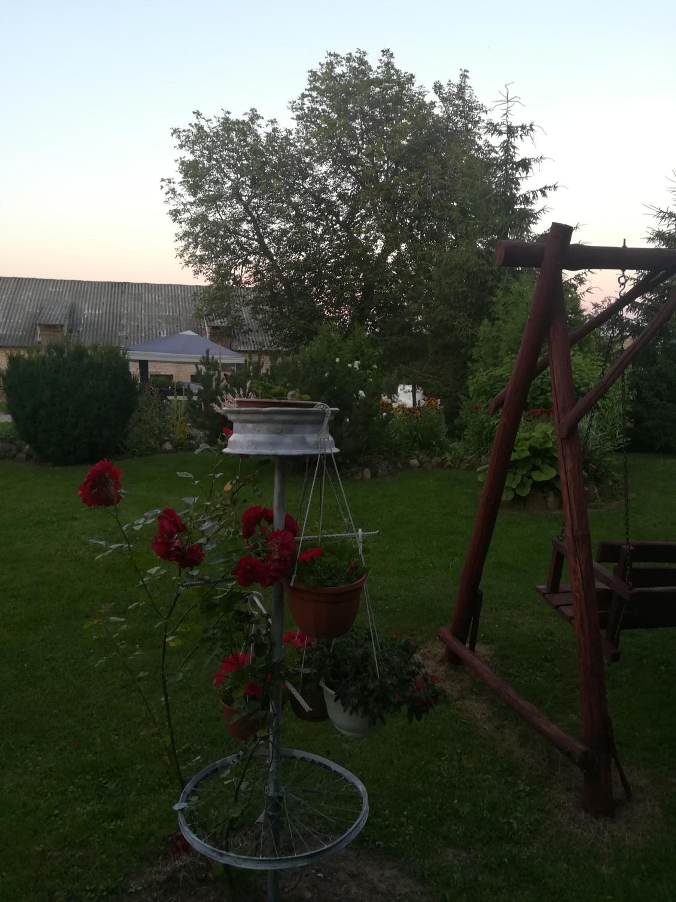 Photo 28