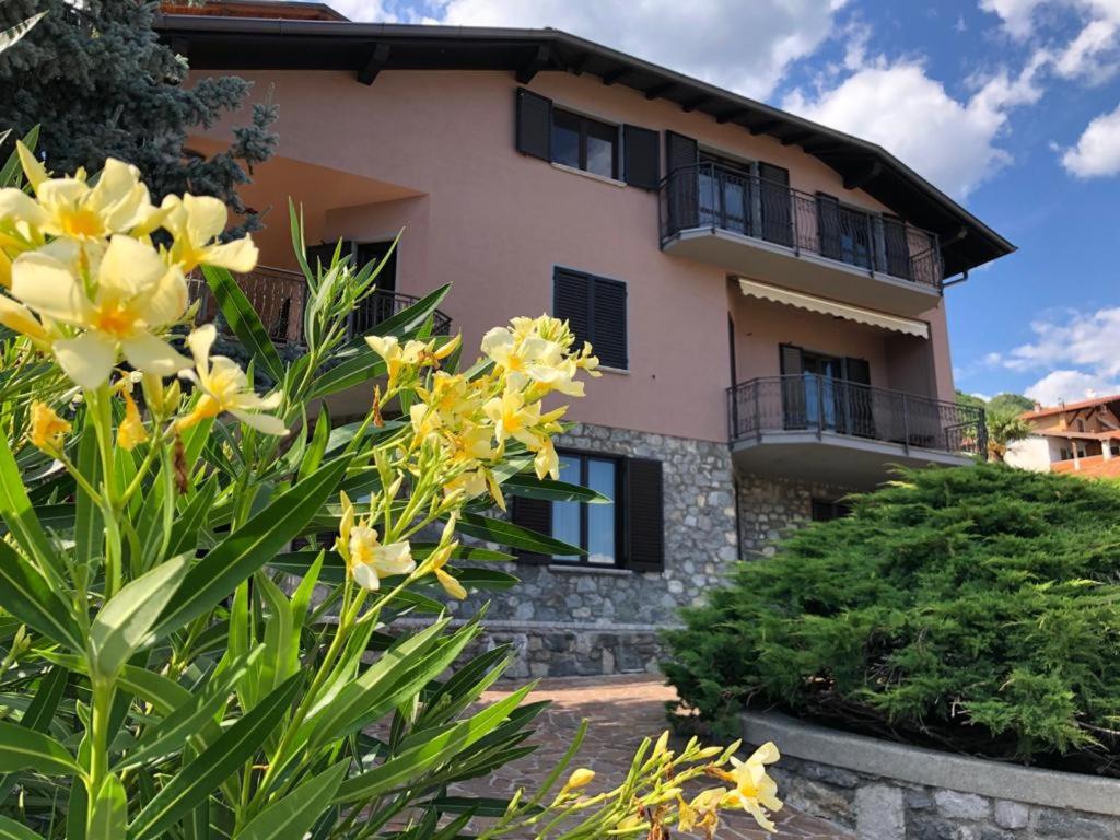 Villa Ago Luxury Apartments & Studios