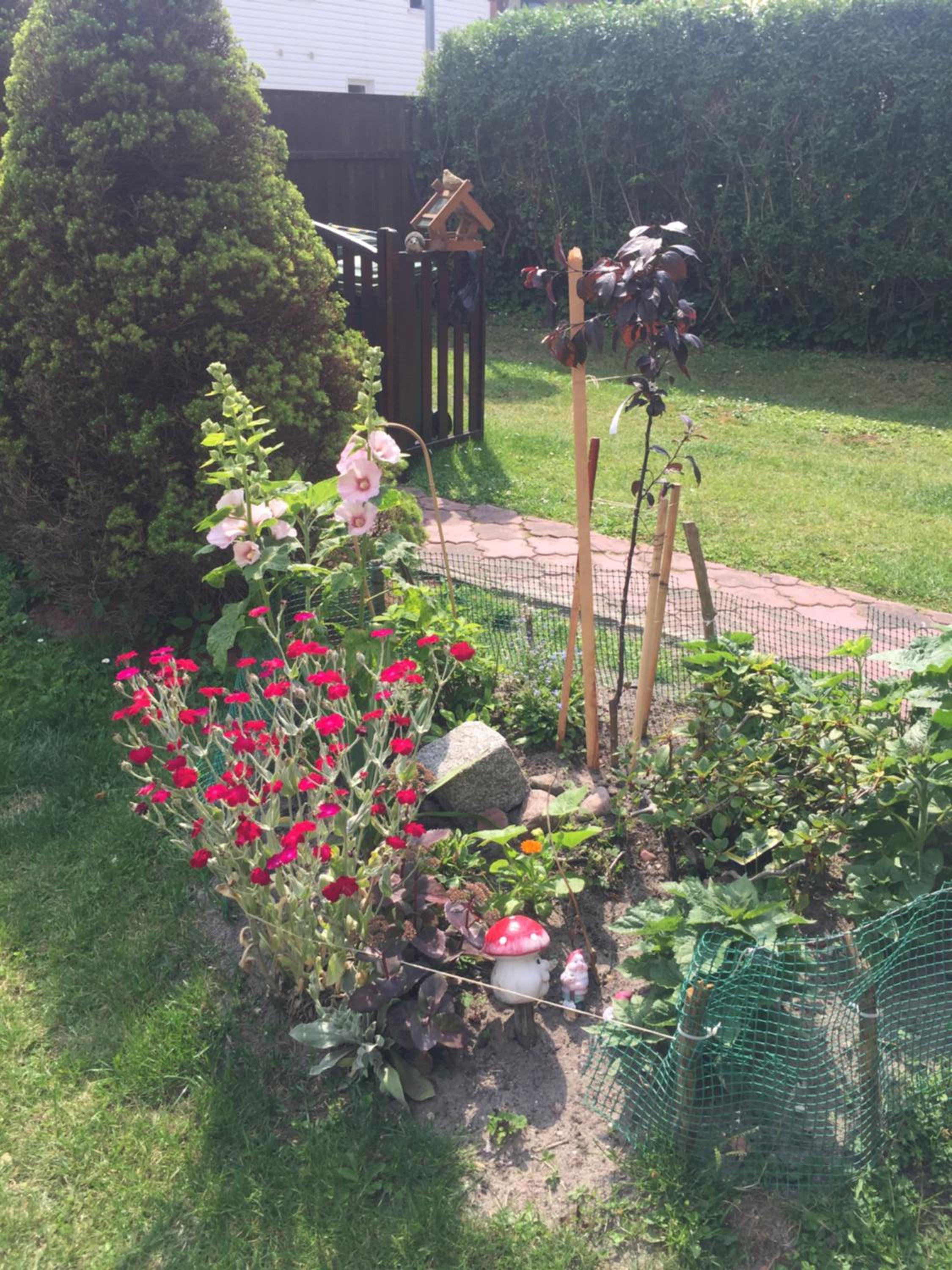Photo 61