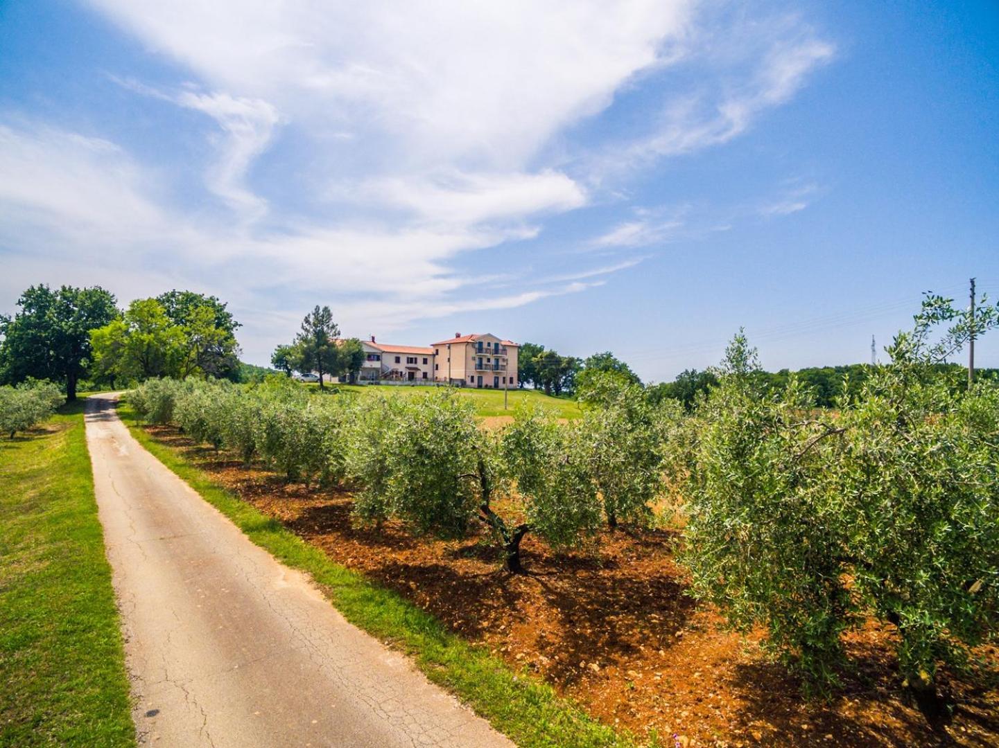Lovely House LINDI in Poreč view 2