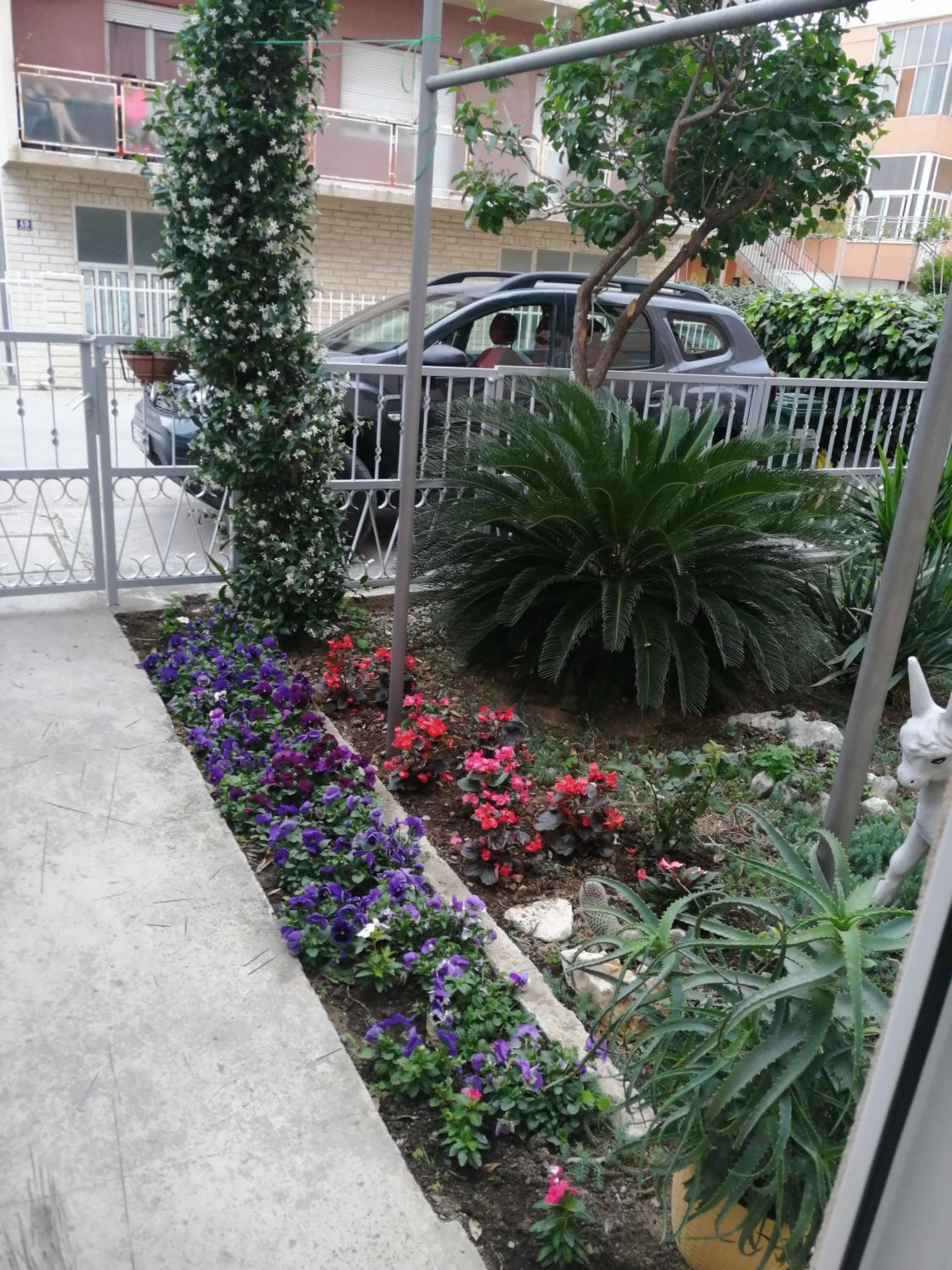 Photo 10
