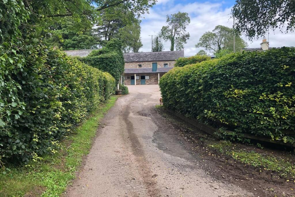 Rhubarb Cottage