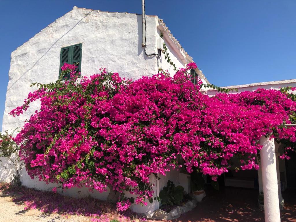 Agroturisme Binisaid NOU view 2