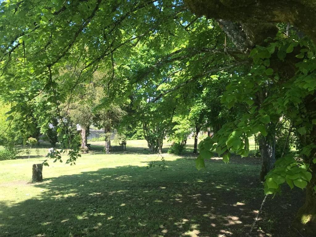 Chez Zoiseau et Zoiseautte