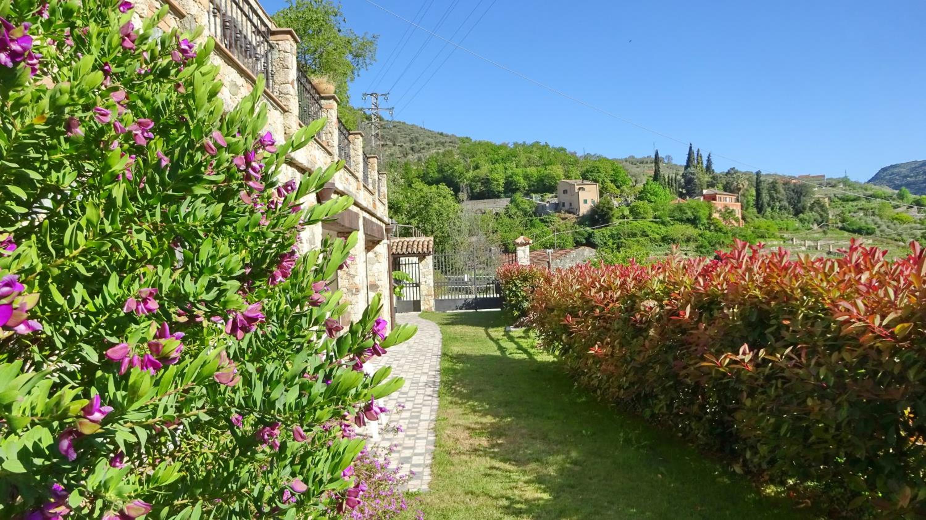 Photo 15