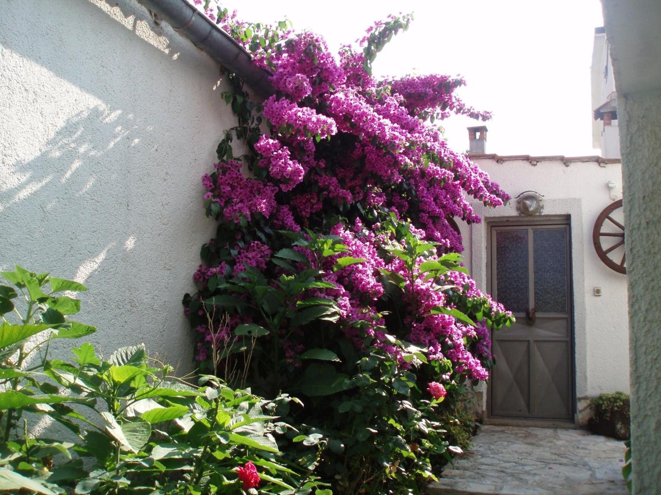 Photo 40