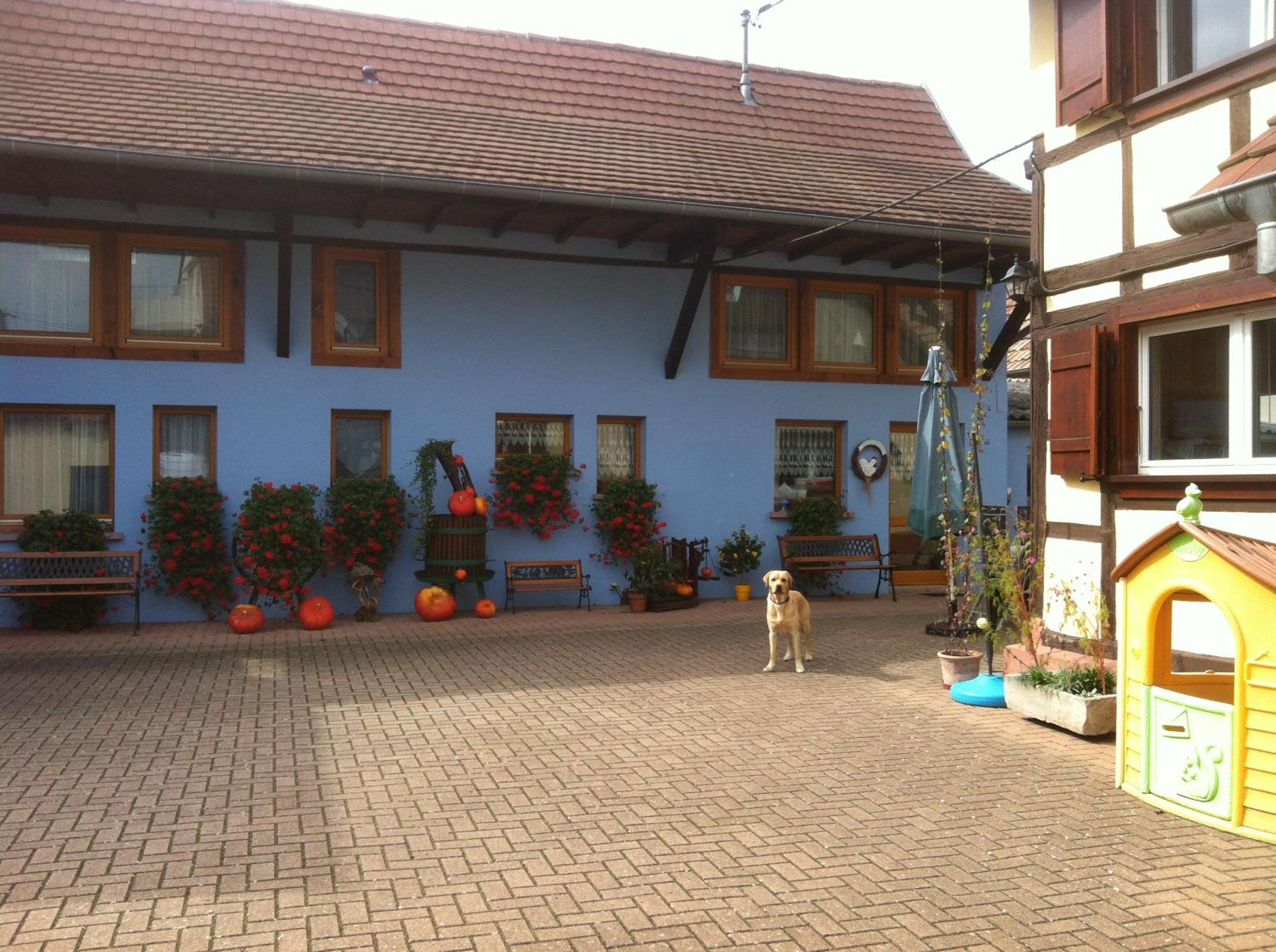 Mélodies d'Alsace view 2