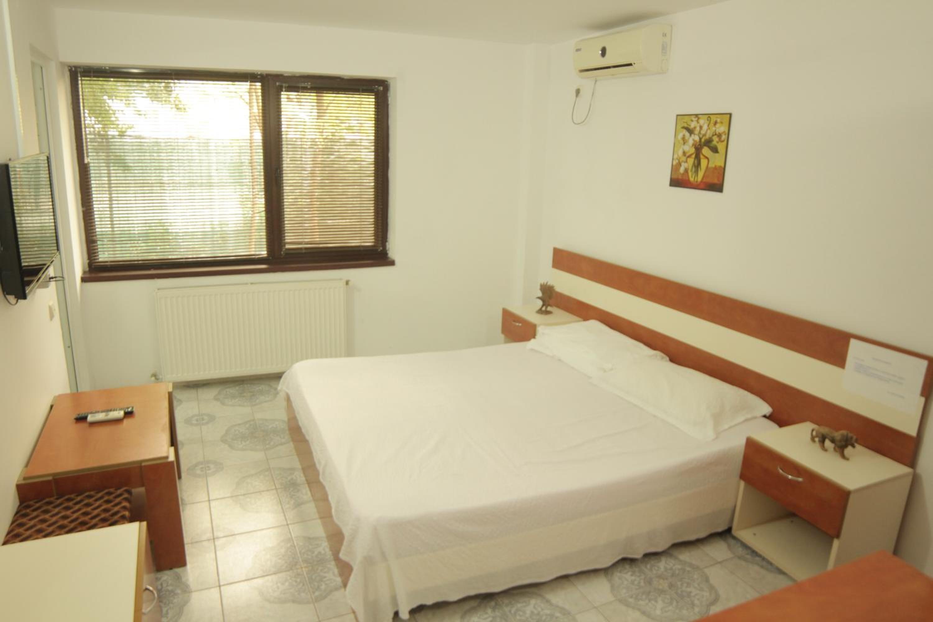 Vila Mihai Eminescu view 3