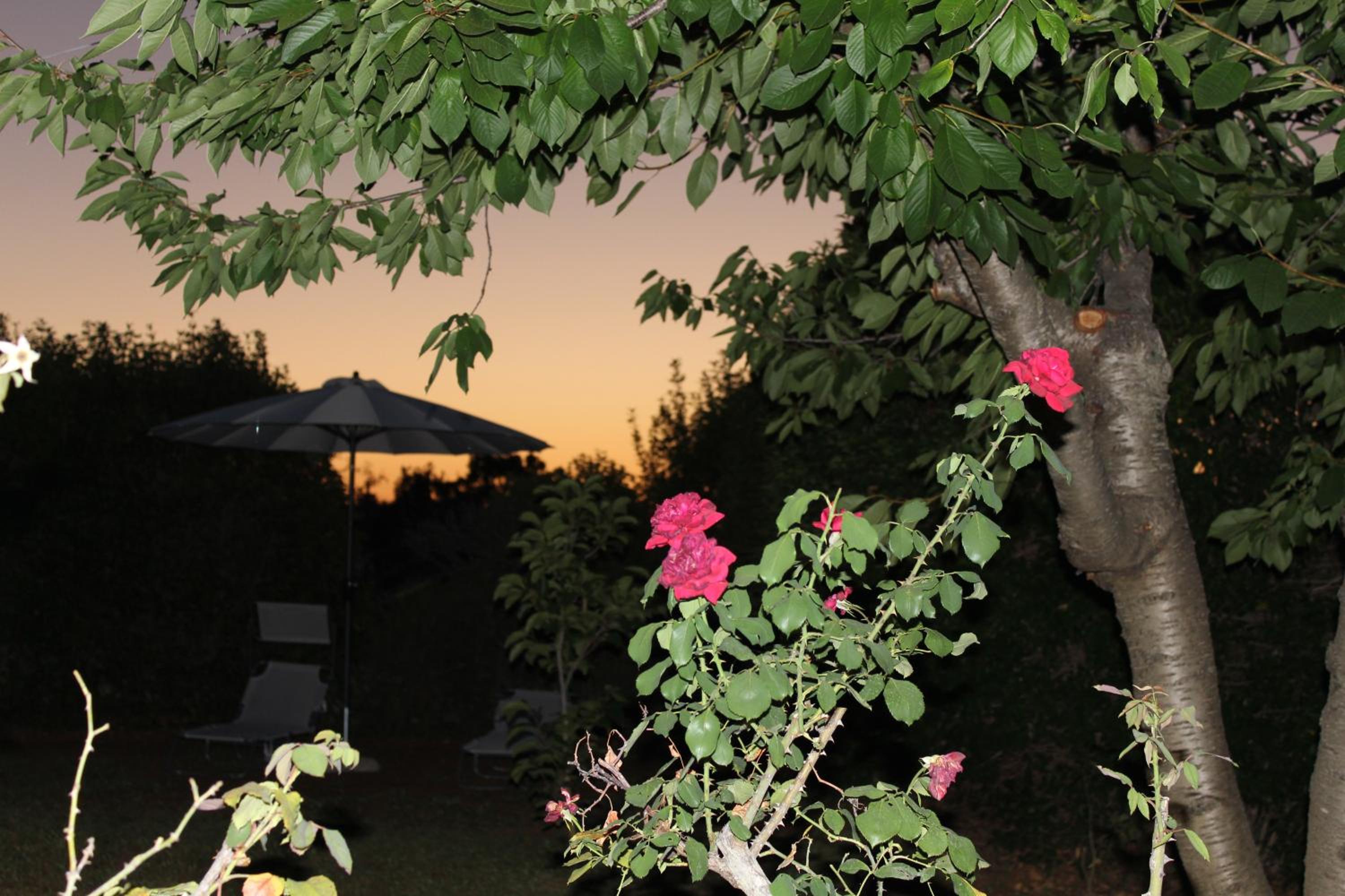 Photo 44