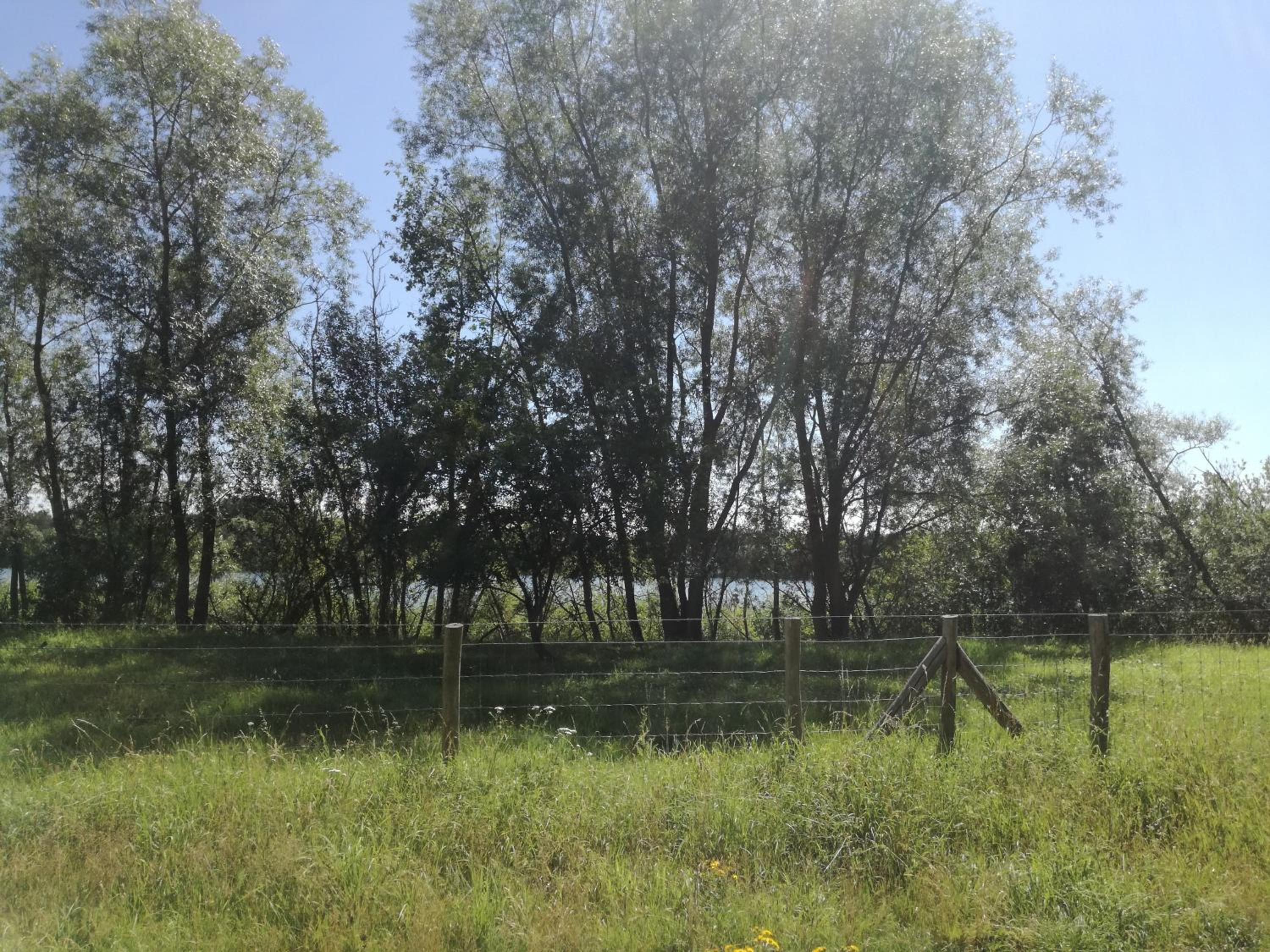 Glamping UNIVERSE view 5