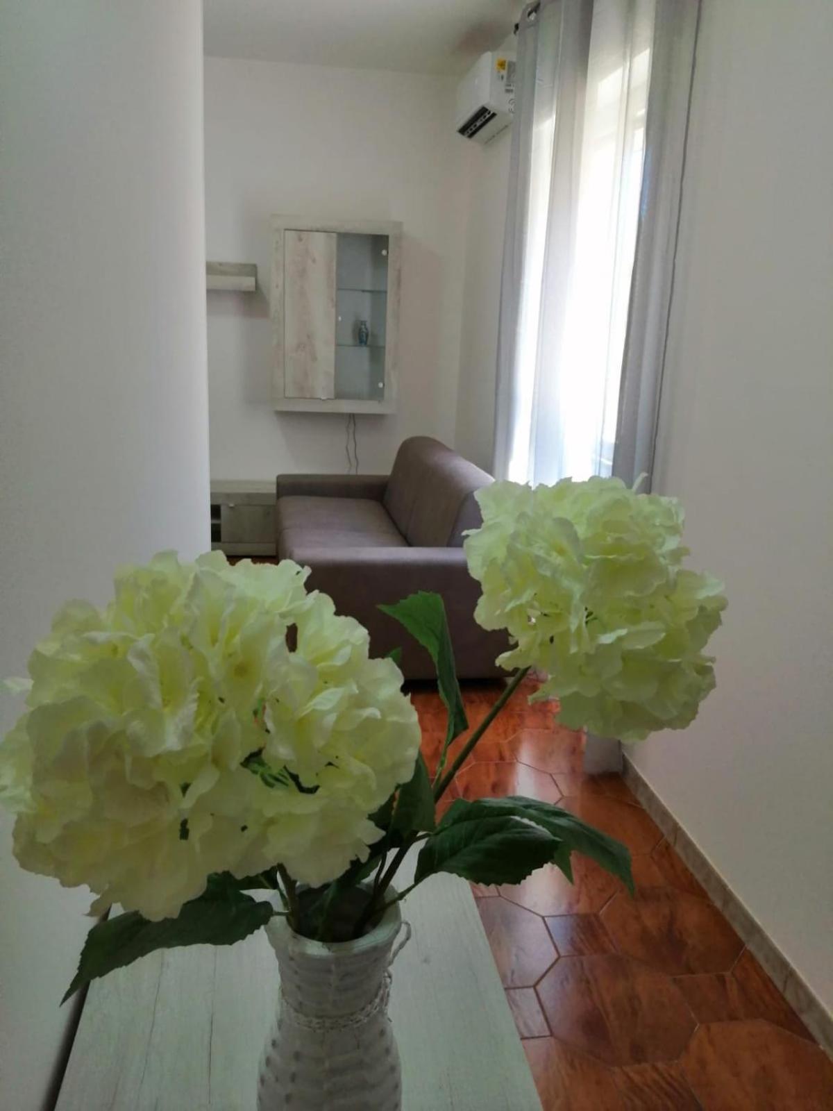 SOLMAR Salento view 5