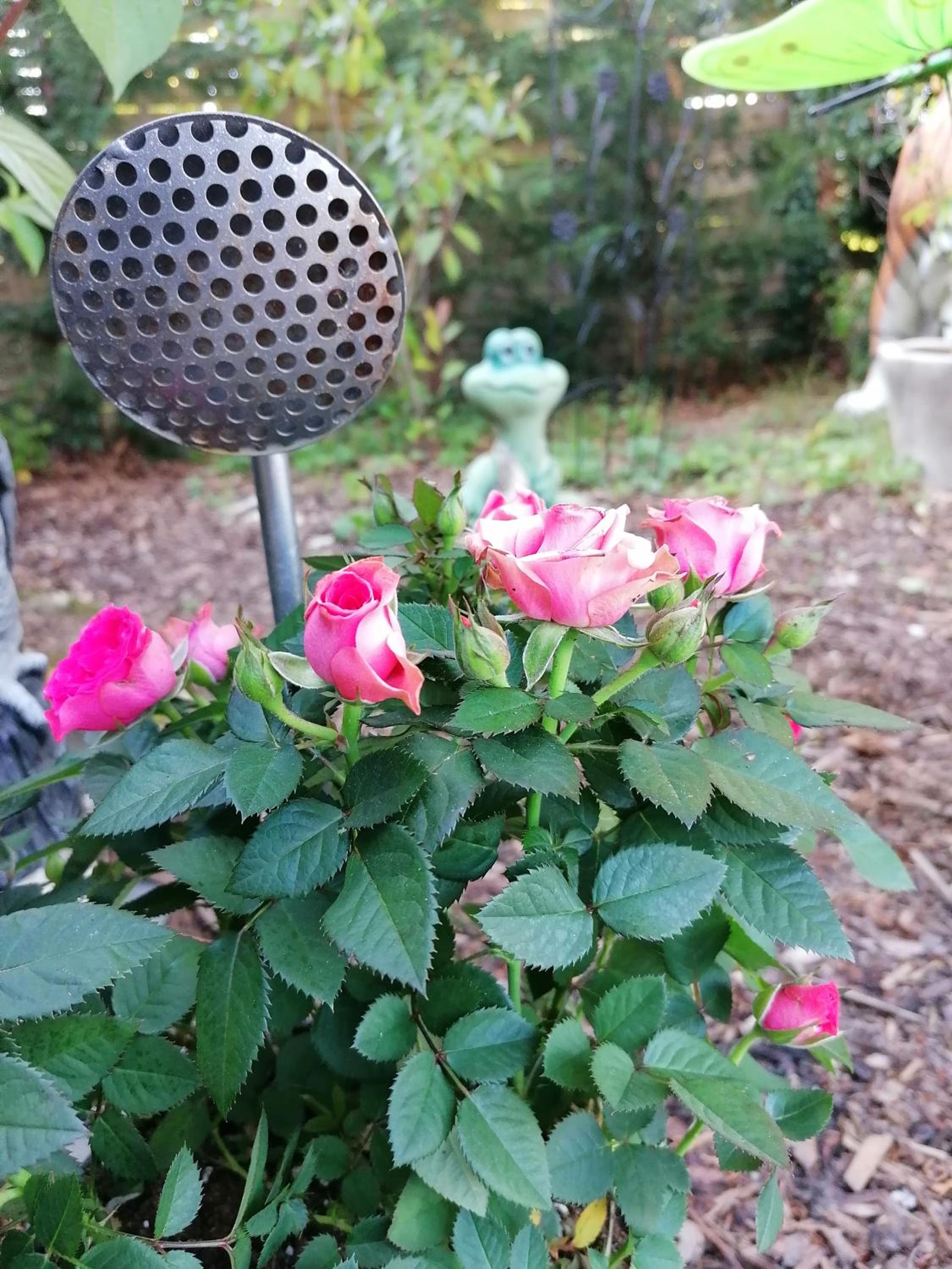 Photo 48
