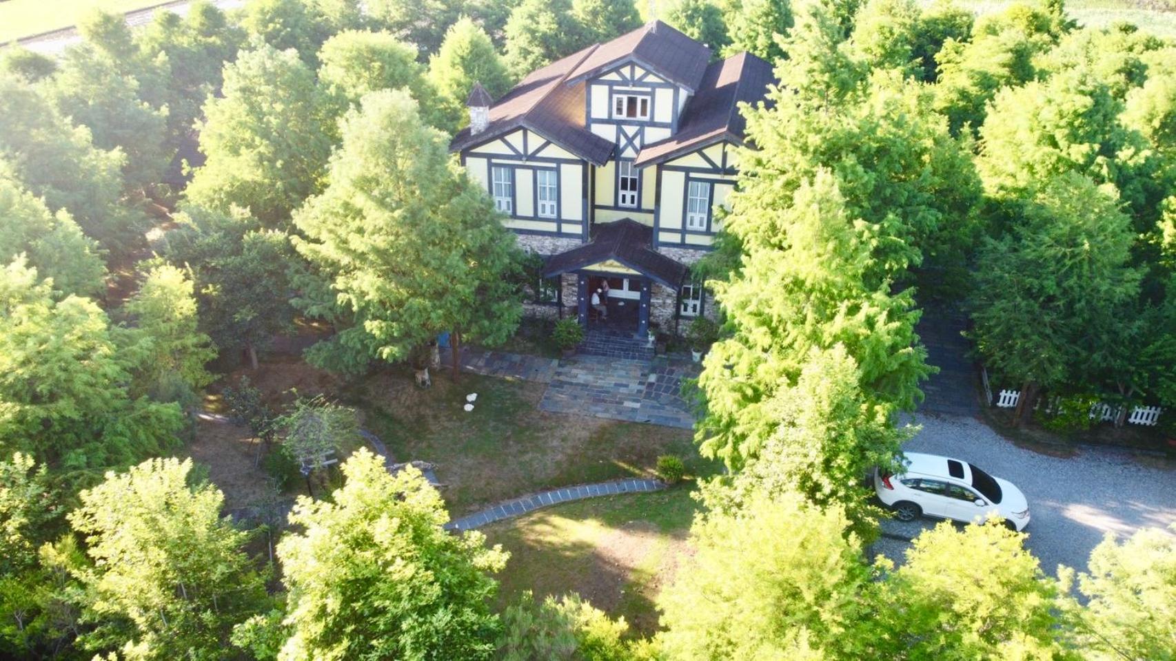 Photo 8