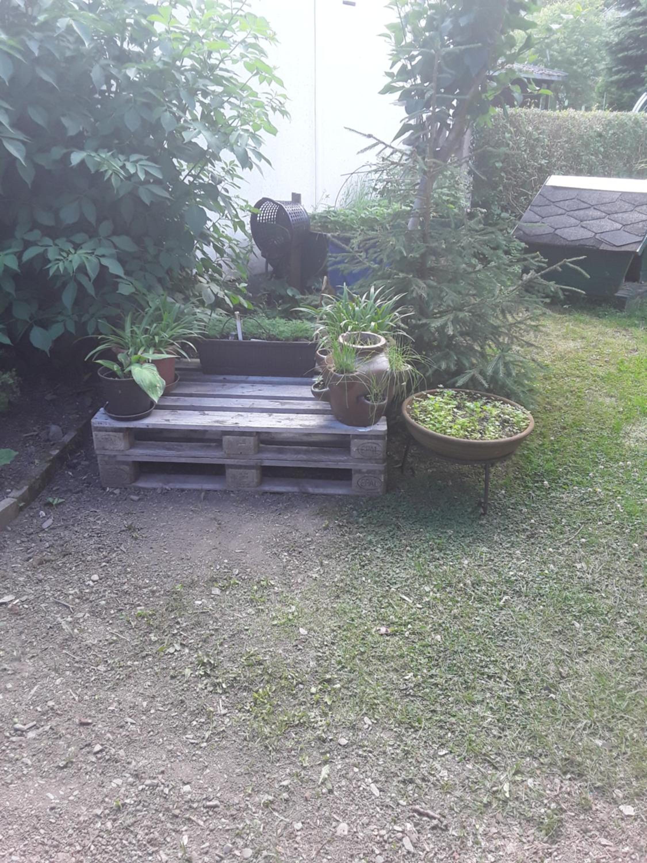 Haus Jahn view 4