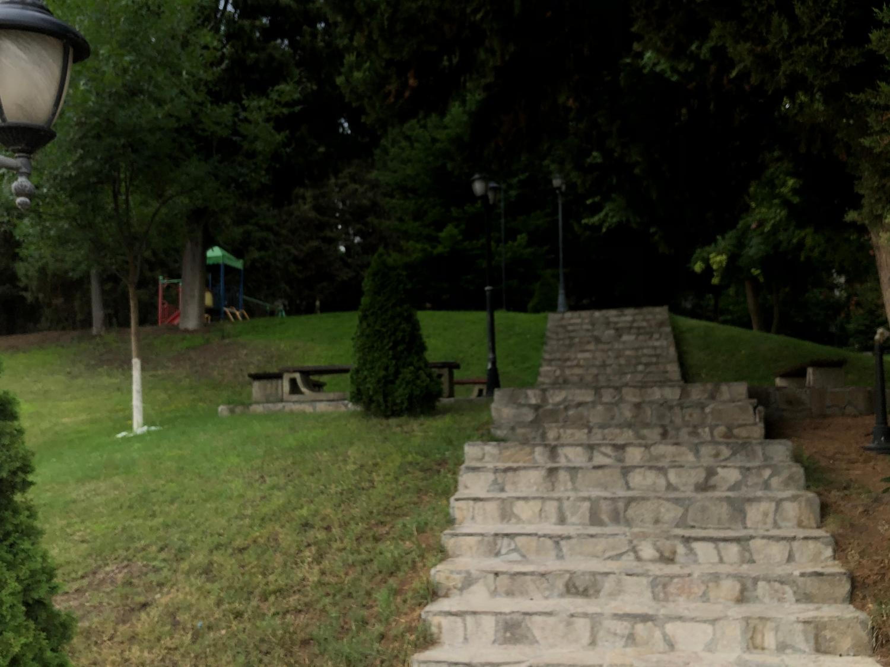 Photo 31