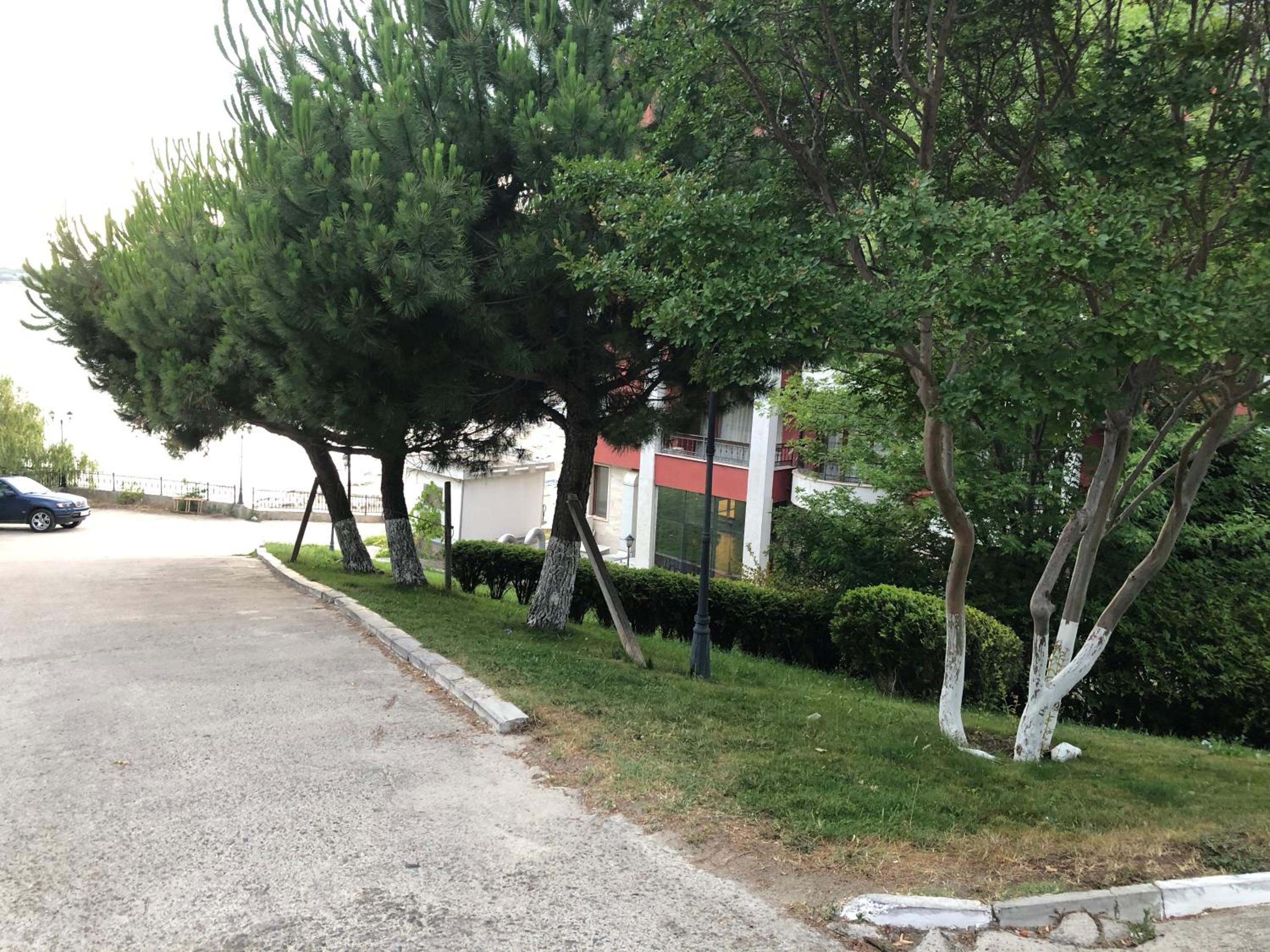 Photo 47
