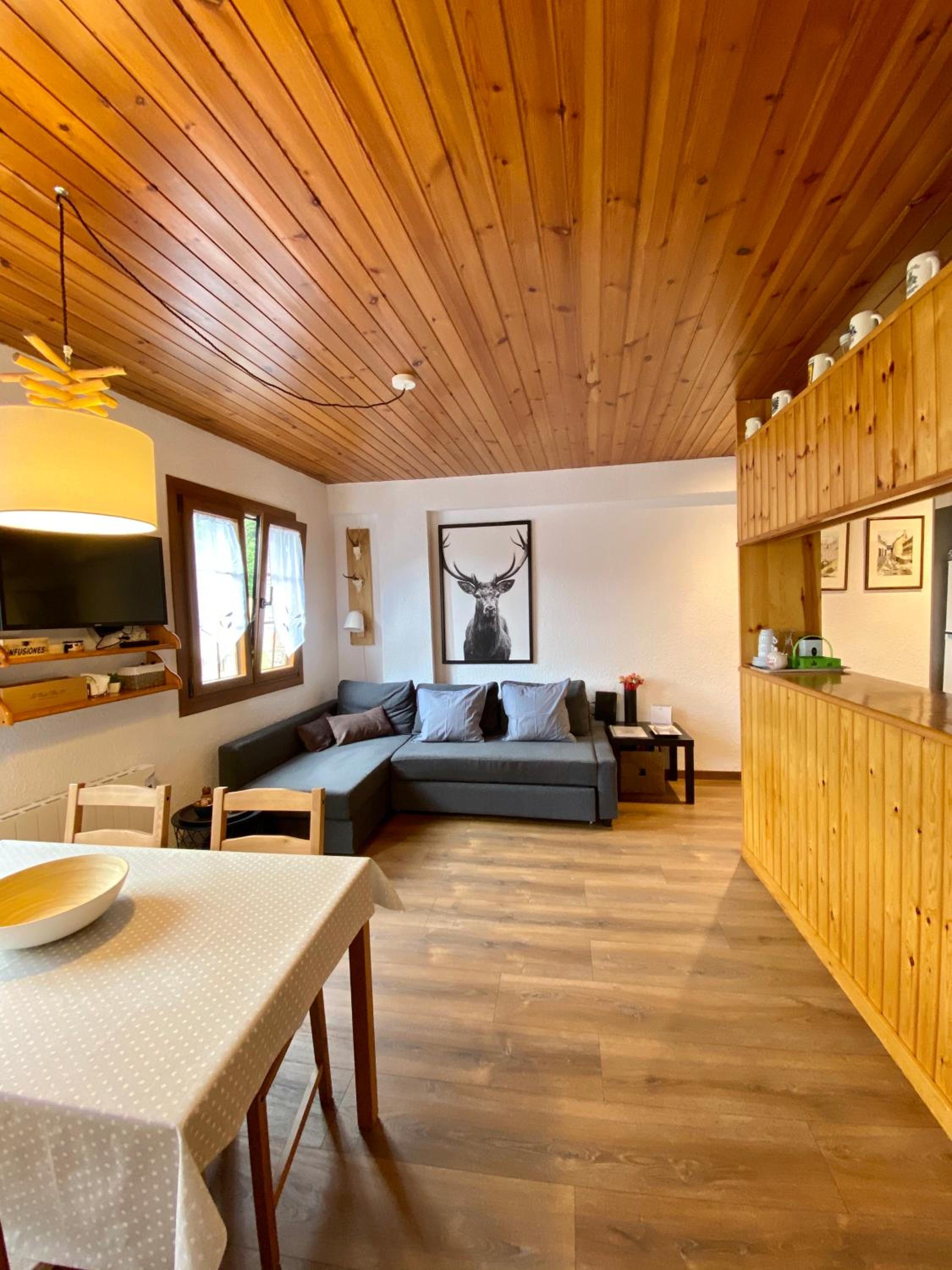 Fantastic Very Bright Apartment in the Heart of Vielha photo 1
