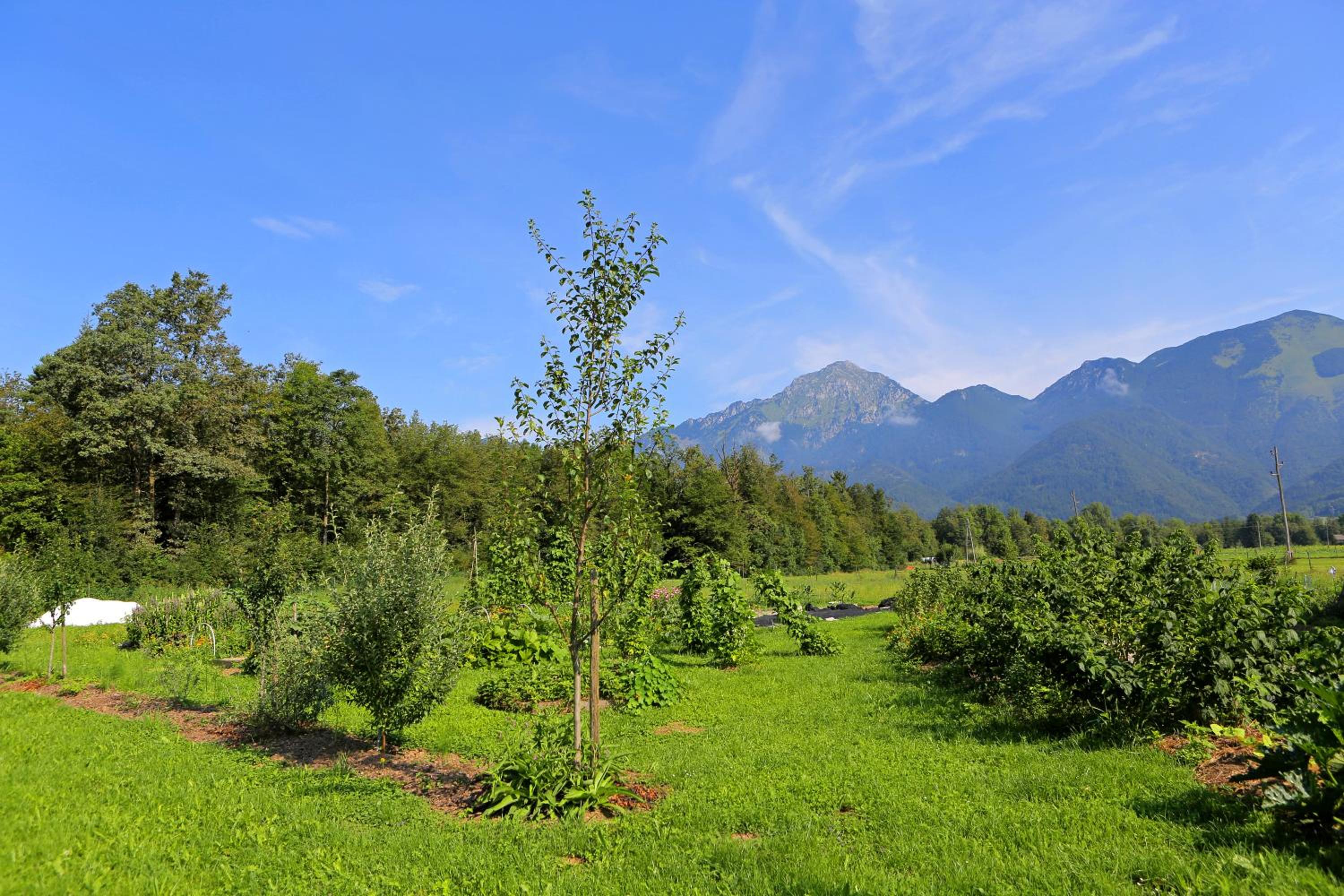 Glamping Mohorjev grunt view 5