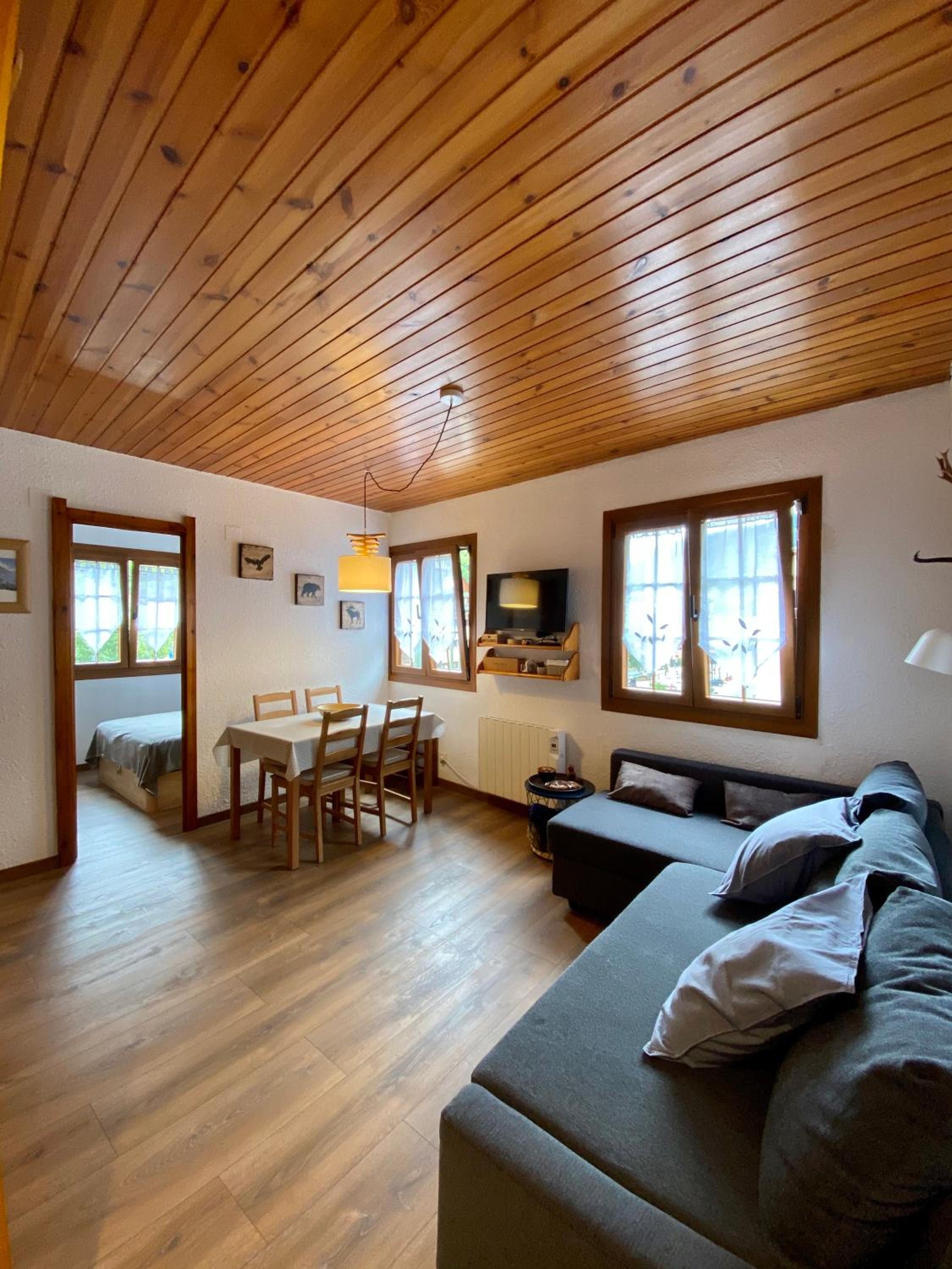 Fantastic Very Bright Apartment in the Heart of Vielha photo 4