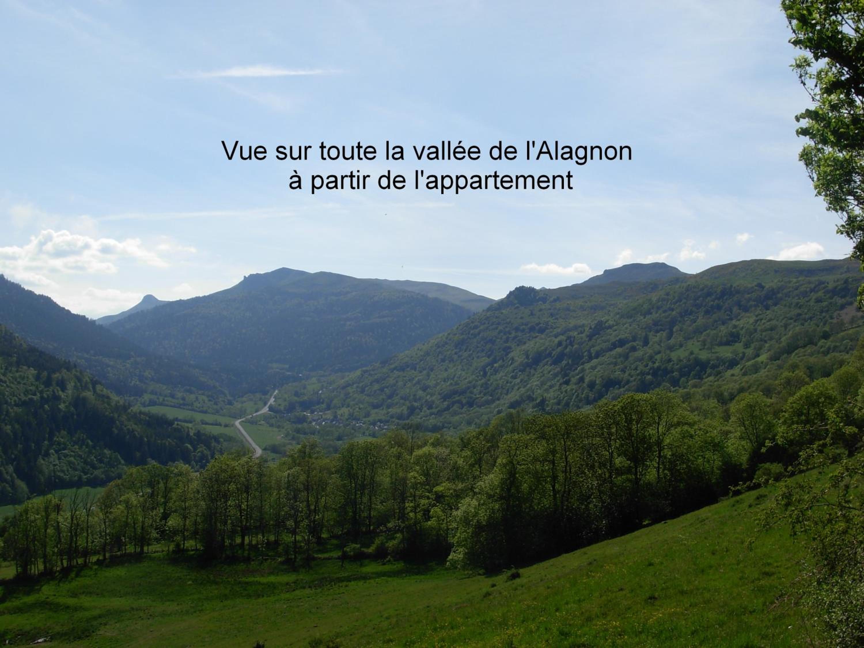 Vacances au pied des Monts du Cantal view 3
