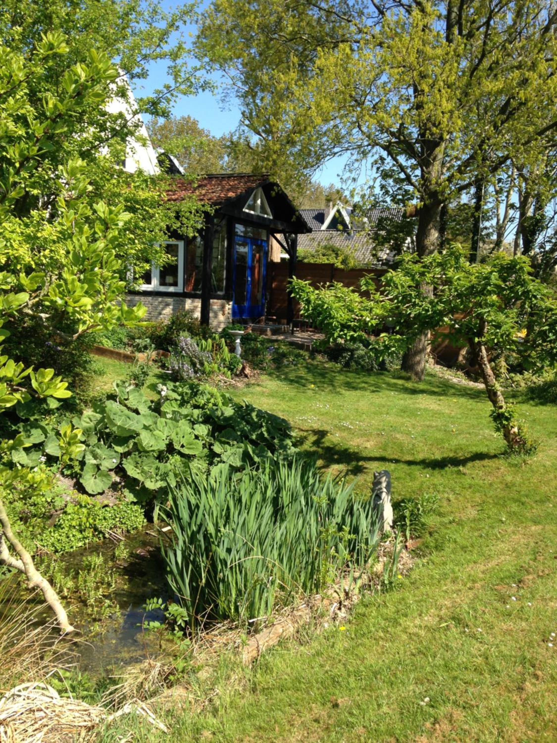 Photo 11