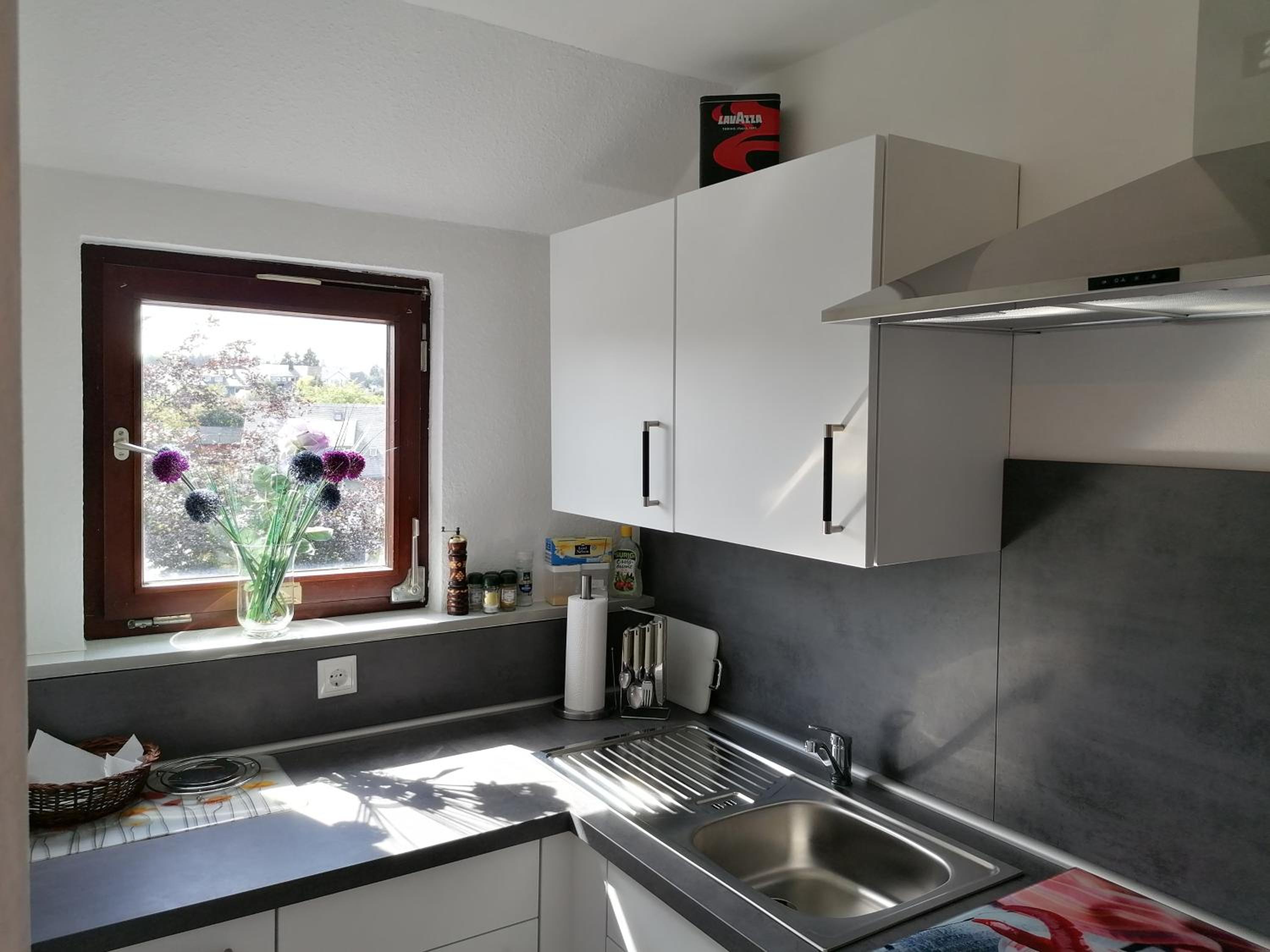 Ferienhaus Suedhang en Winterberg