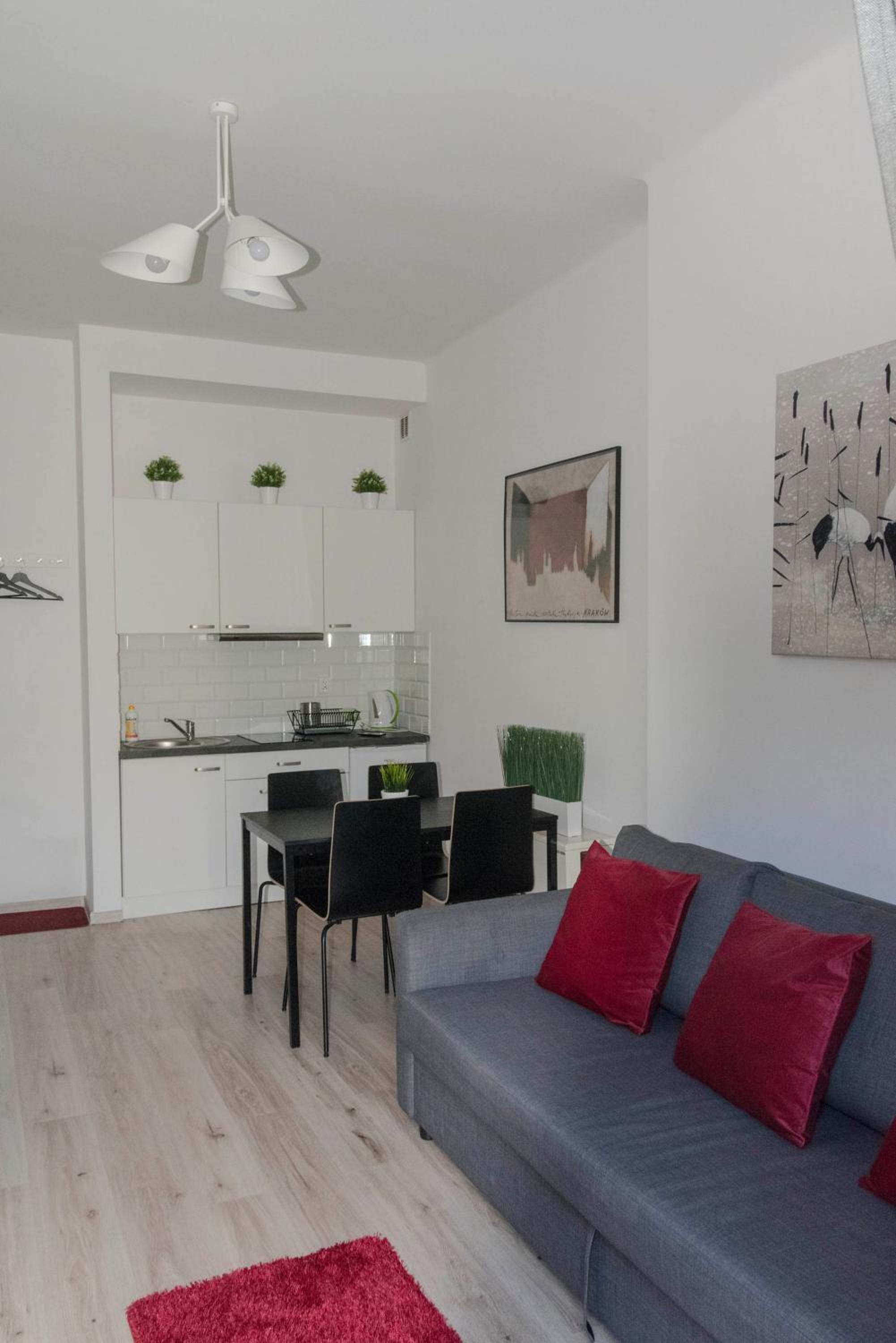 Old Cracow Apartment Mazowiecka 11