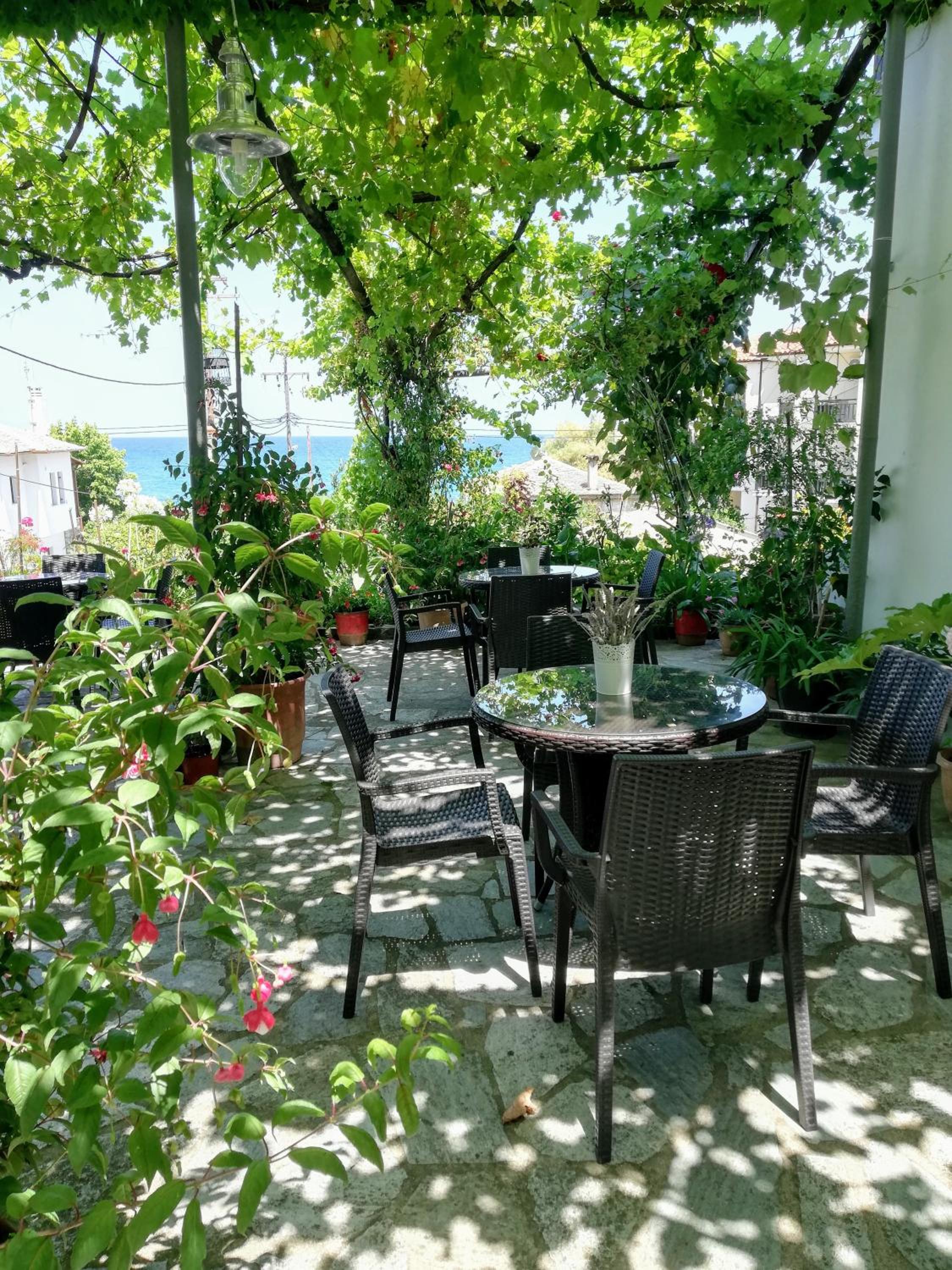 Hotel Erato photo 1
