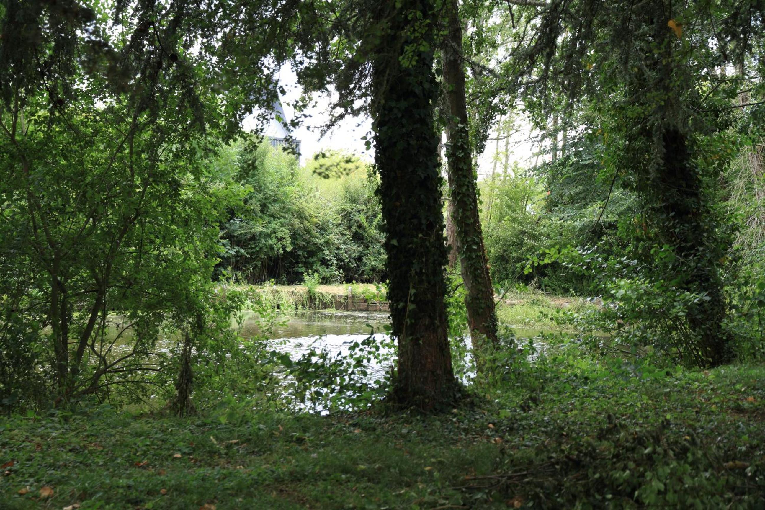 Photo 13
