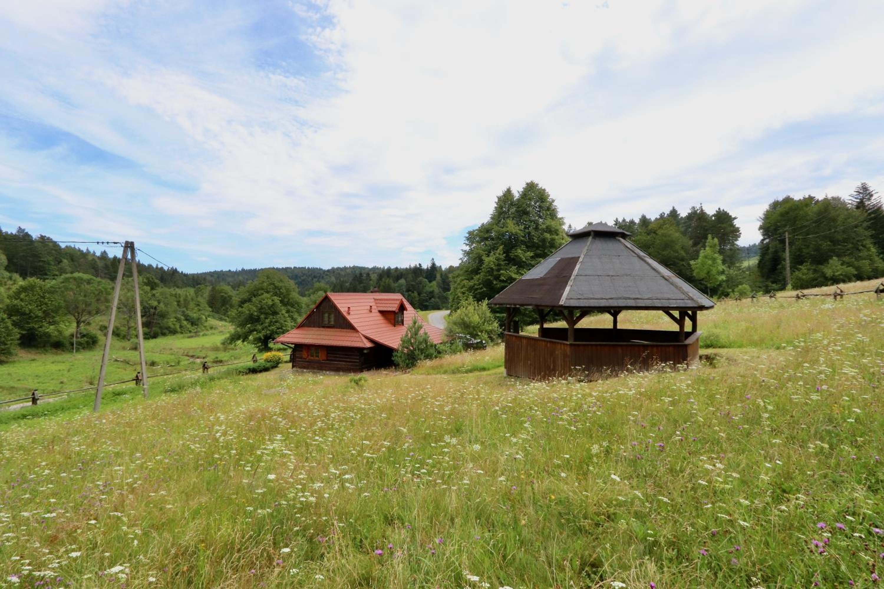 Krzywa 19 view 5
