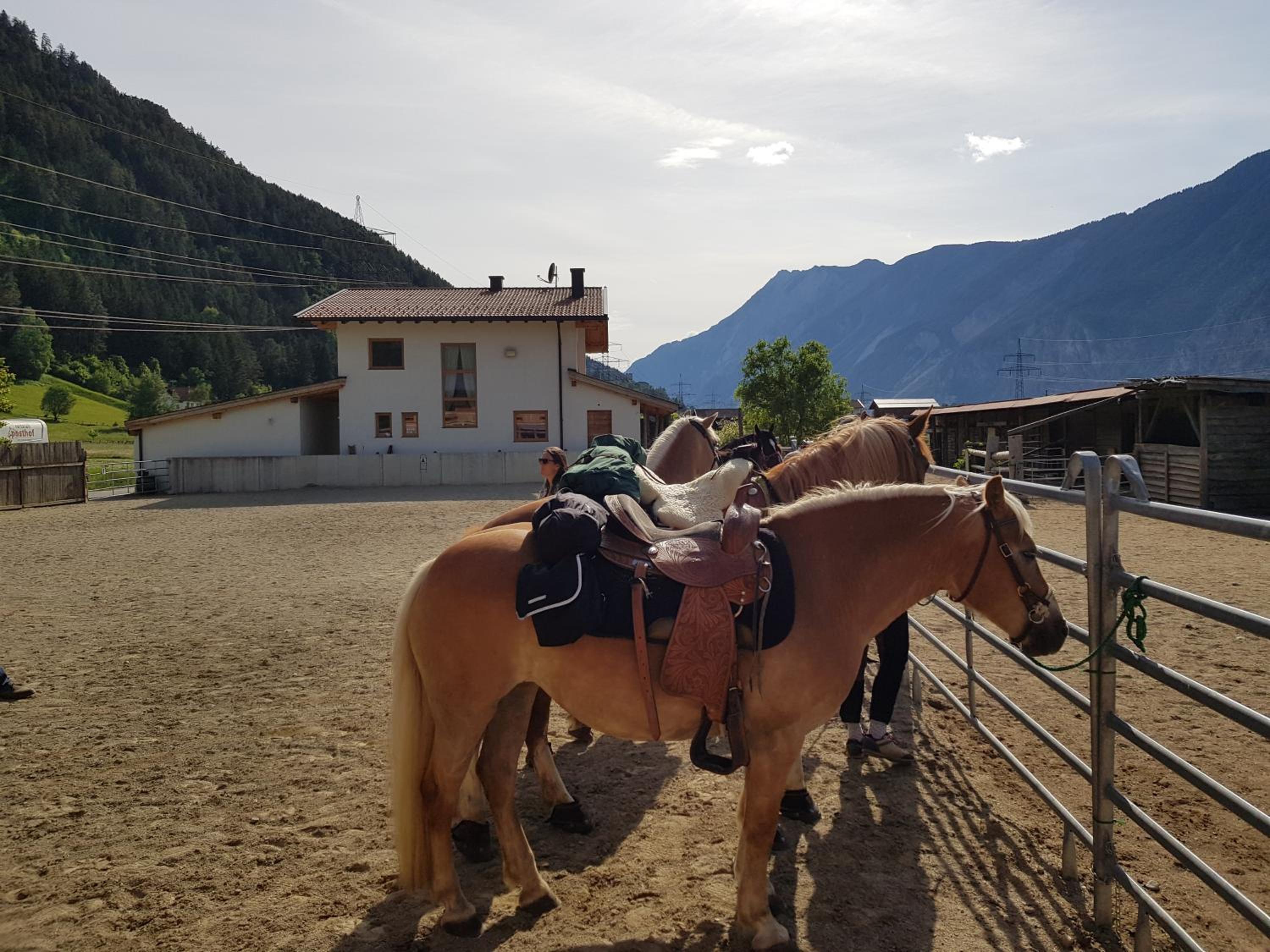 B&B Margit's Ranch Urlaub am Pferdehof