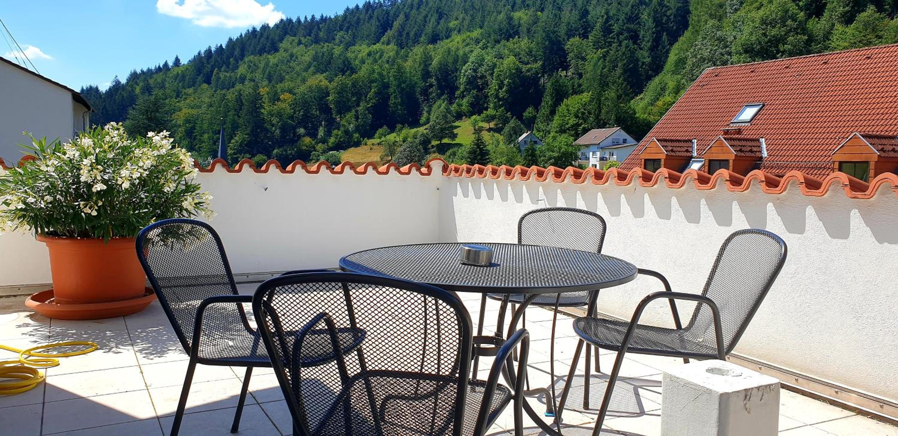 Apartmenthaus "Zum Löwen" Heidelberg - Ziegelhausen