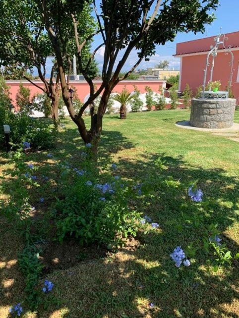 B&B Mediterraneo photo 4