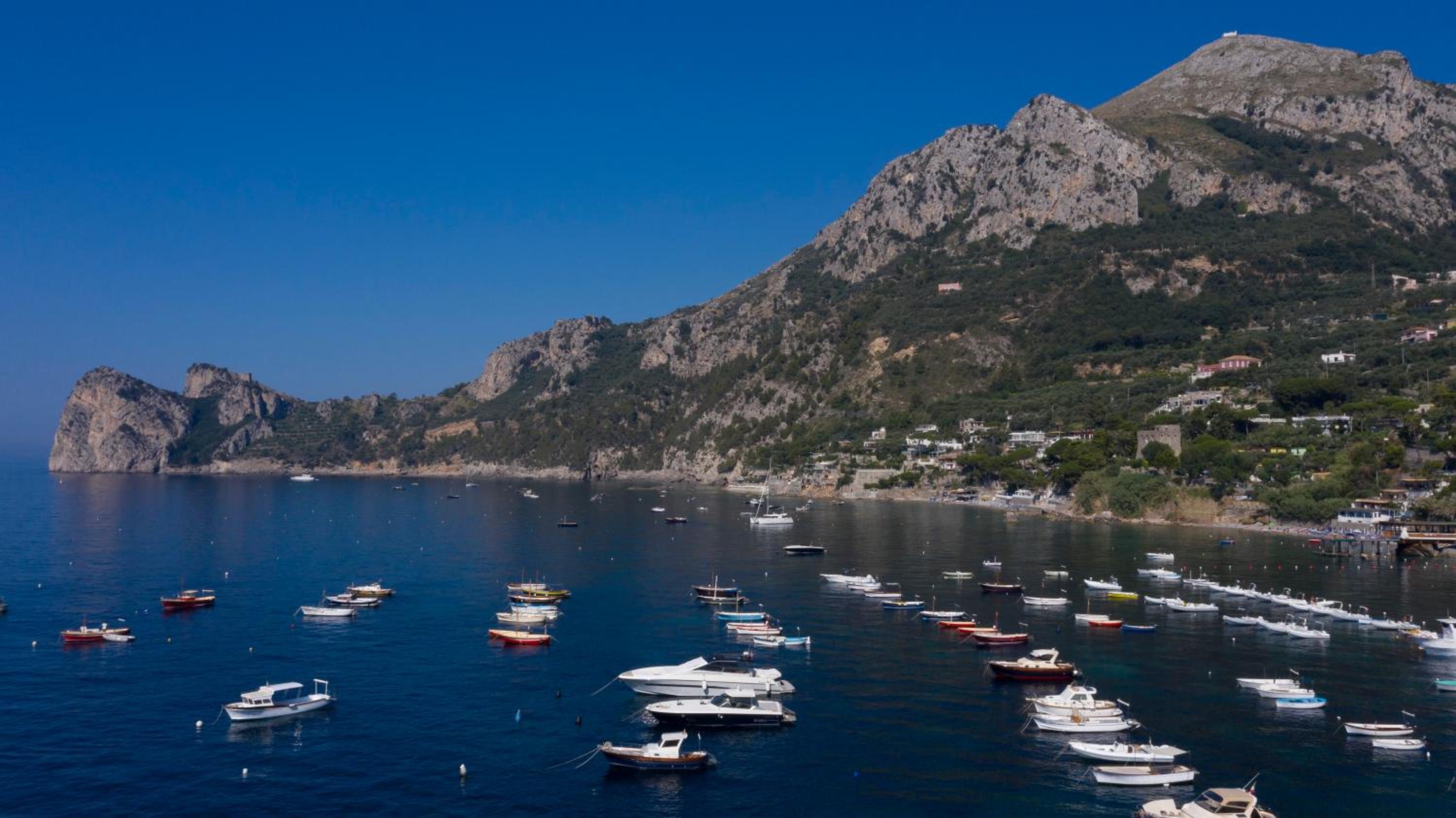 Olga's Resort photo 4