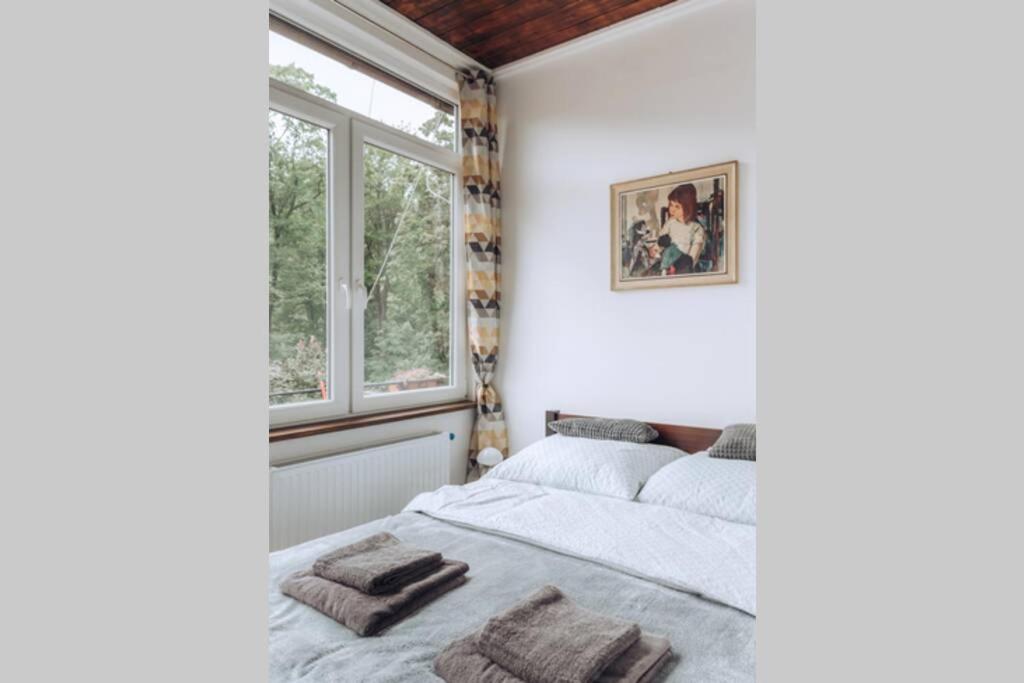 Duszniki-Zdrój Przytulny Apartament z Tarasem view 4