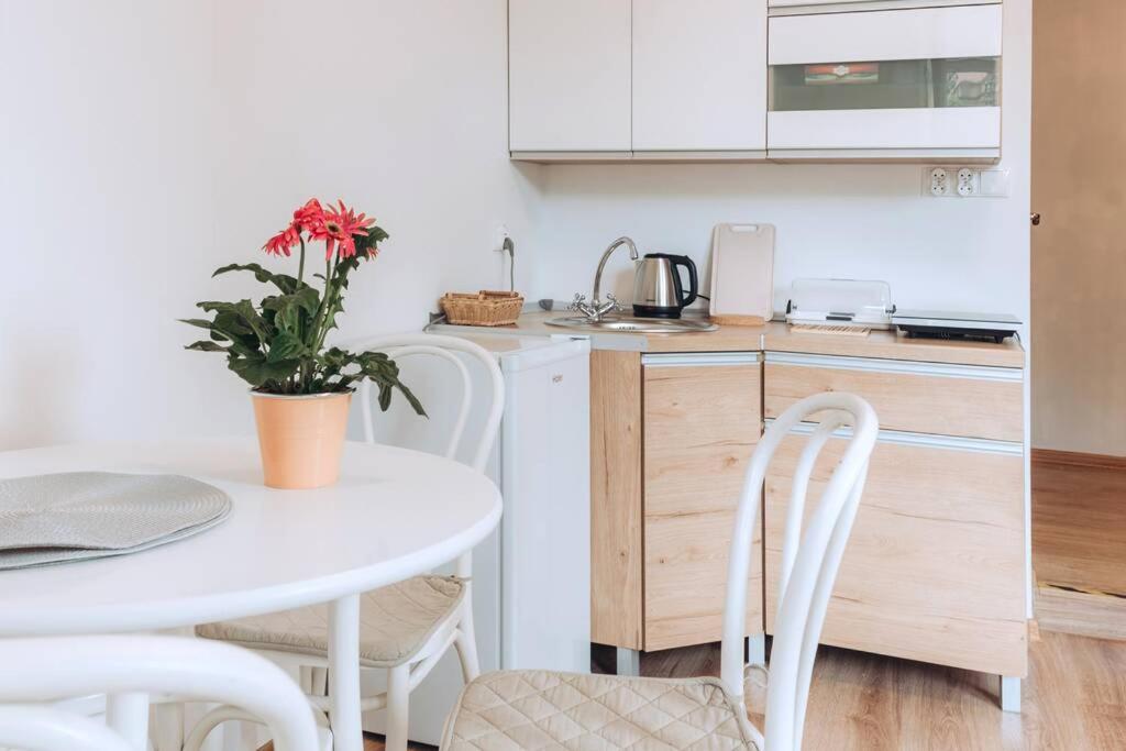 Duszniki-Zdrój Przytulny Apartament z Tarasem view 5
