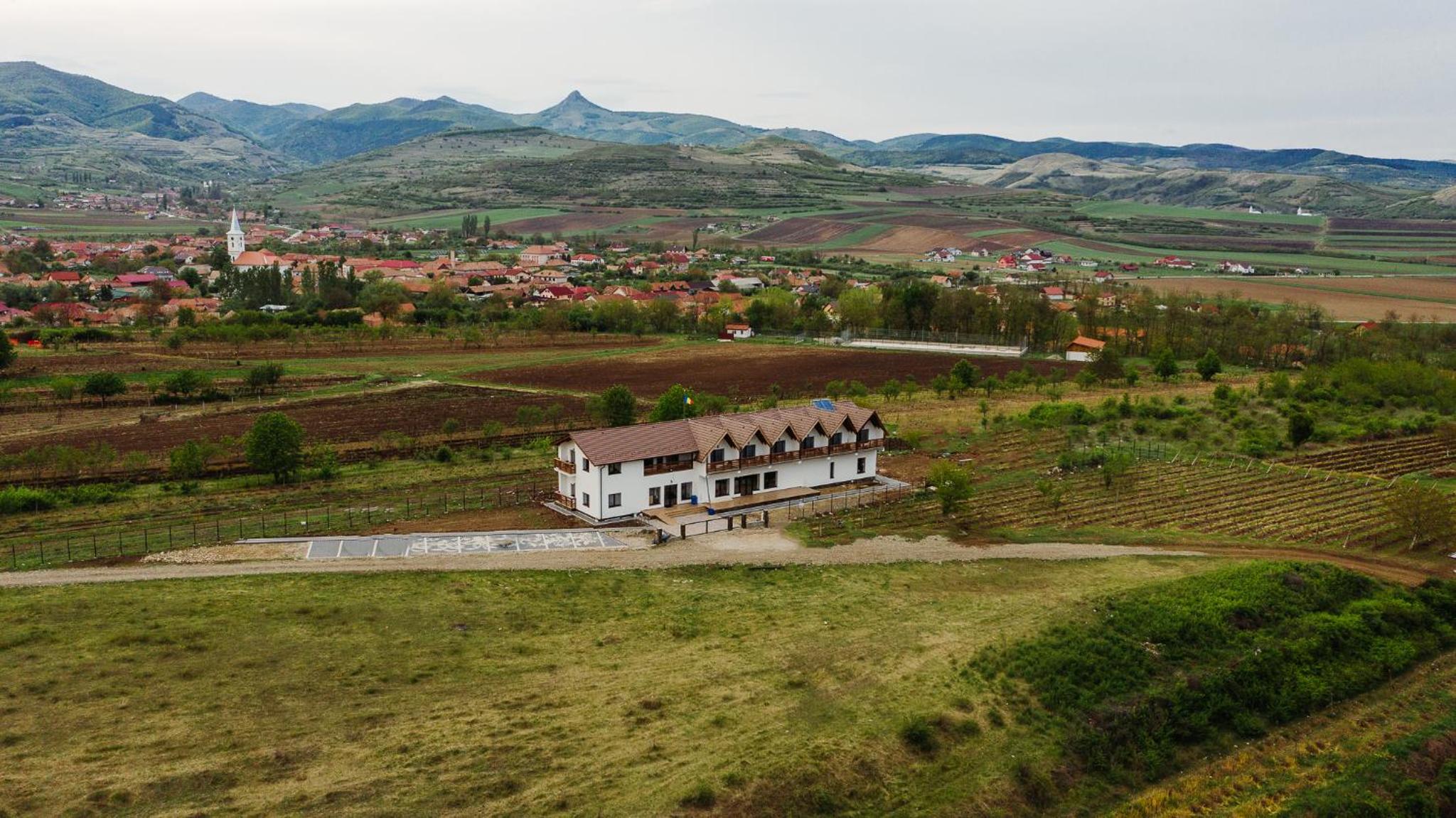Pensiunea Casa Negrea view 3