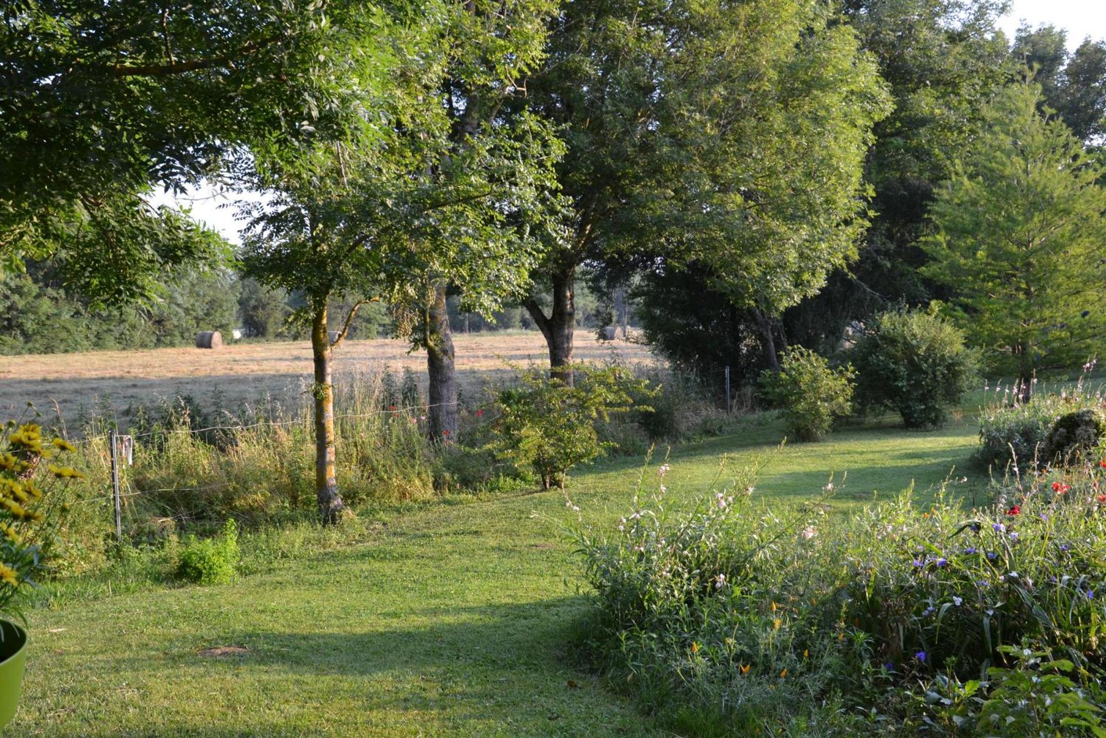 La Madinerie view 3