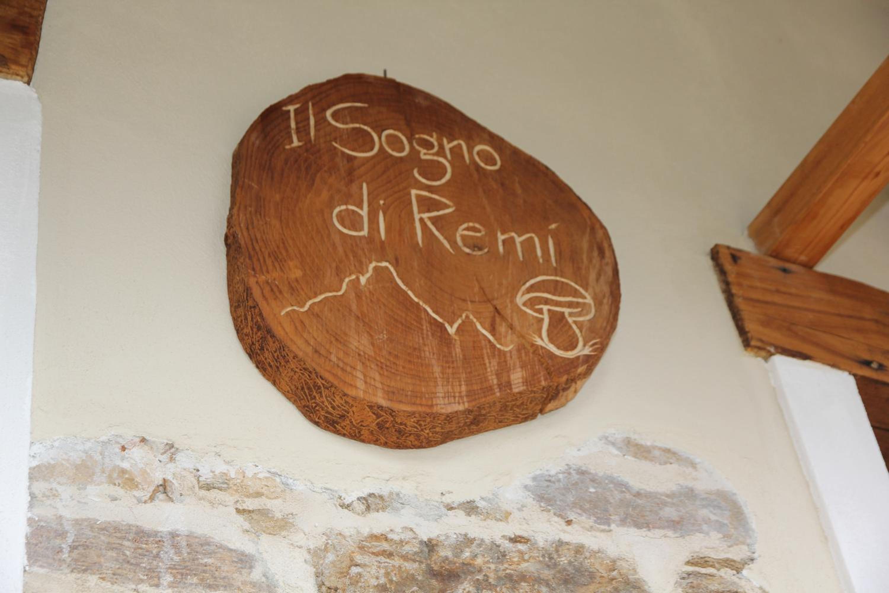 Il Sogno di Remí view 4