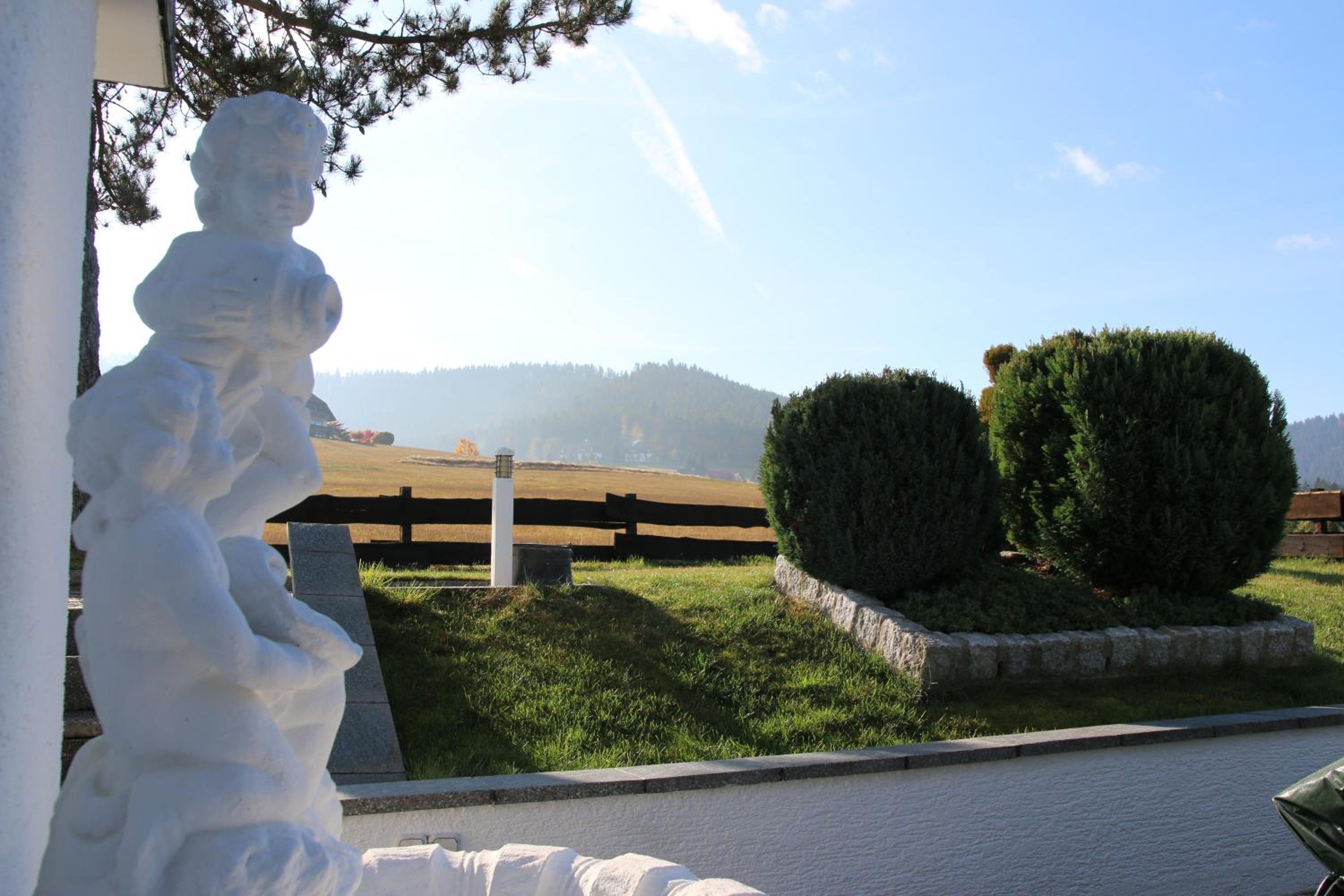 Luxus-Landhaus im Schwarzwald/Baiersbronn mit Pool