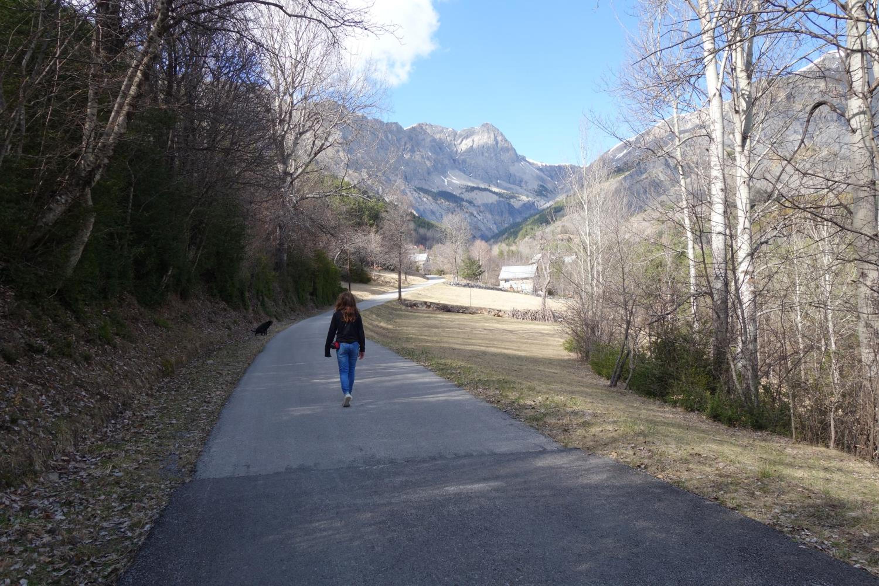 Photo 21