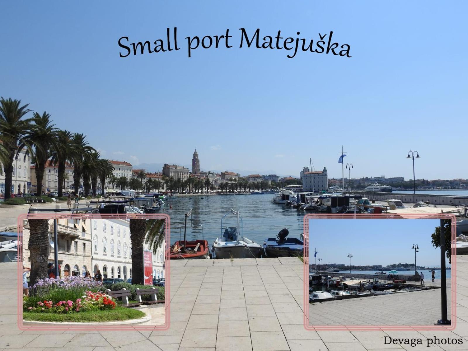 Photo 44