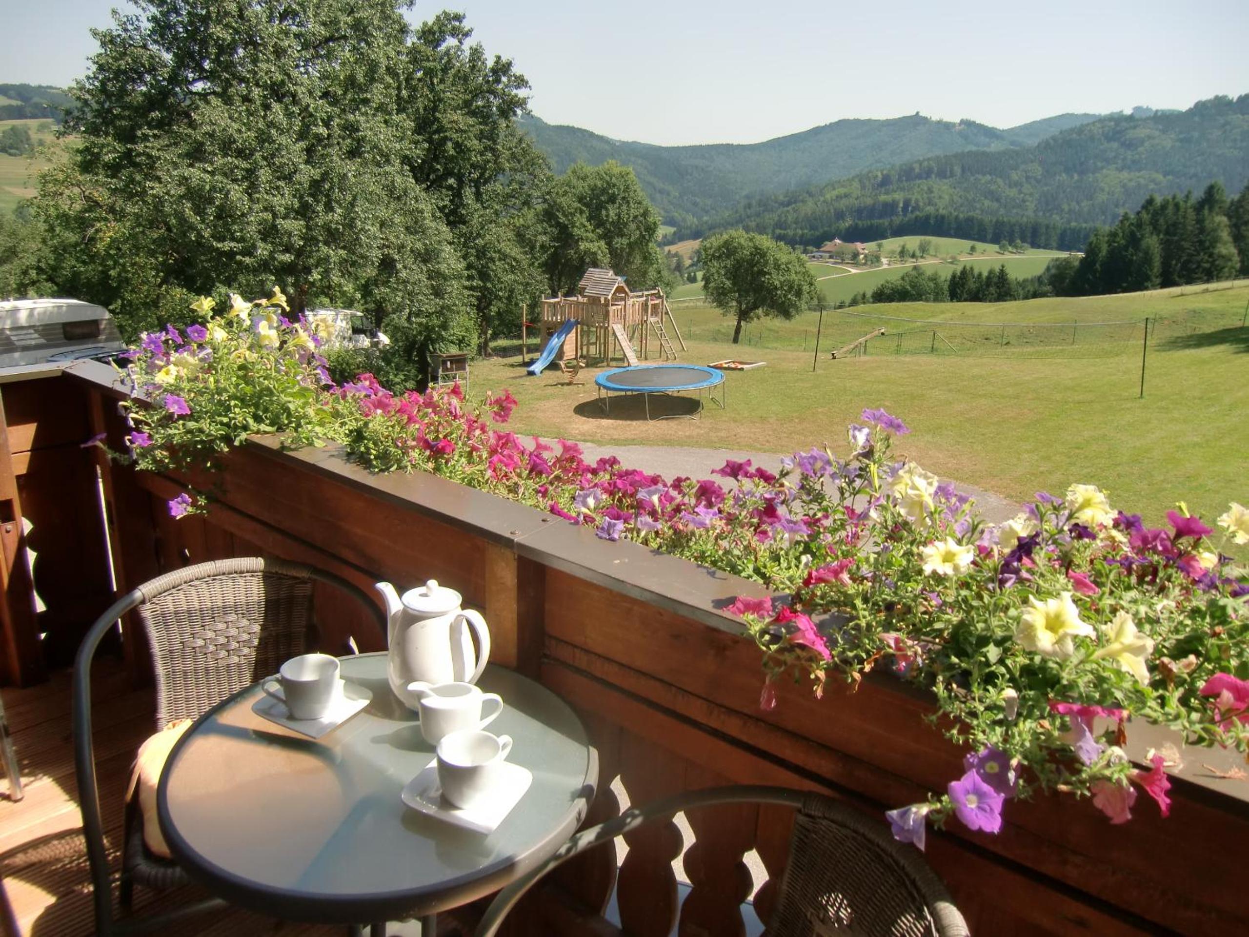 Ferienwohnungen Jodlbauerhof view 2