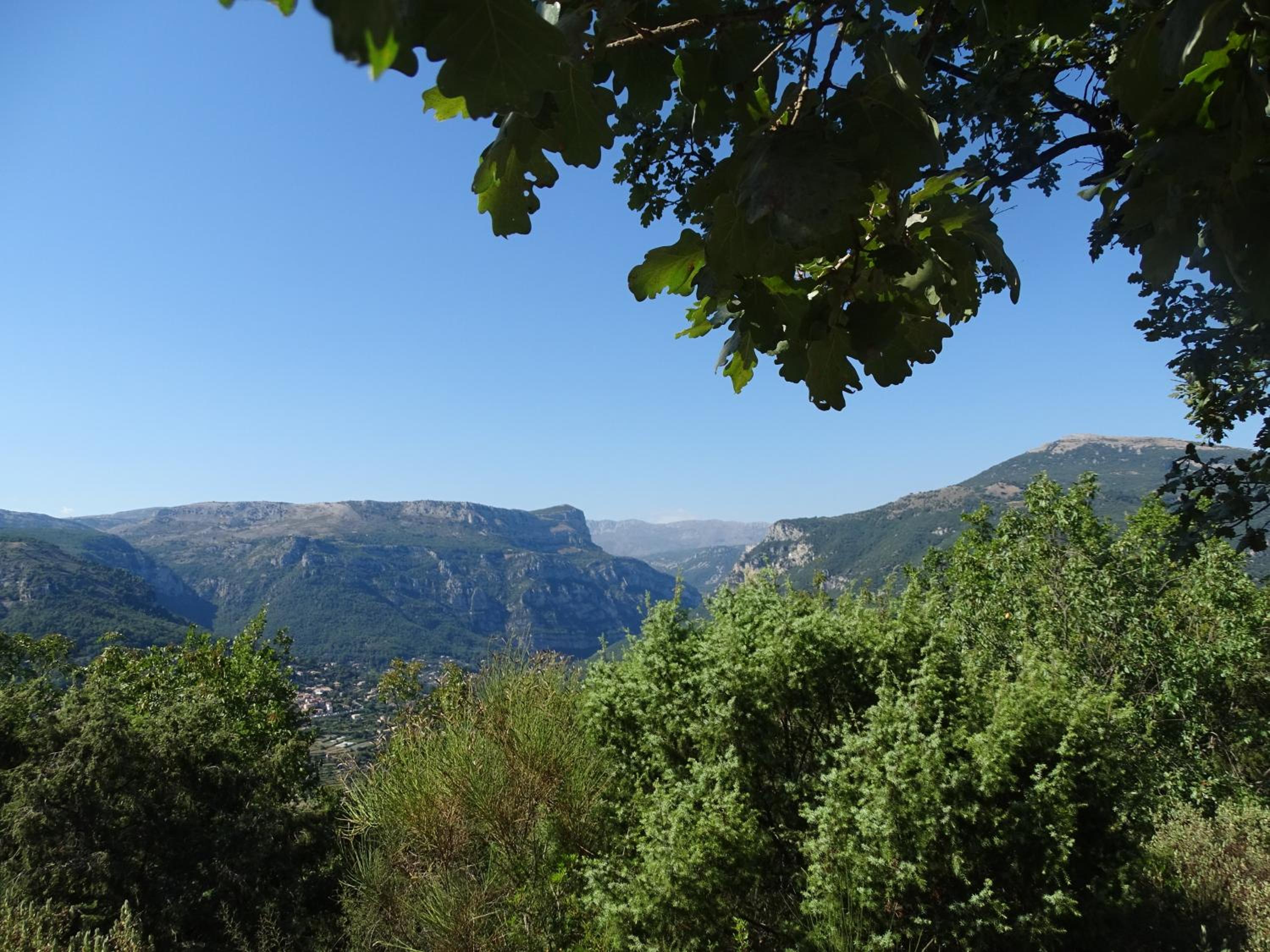 Photo 45