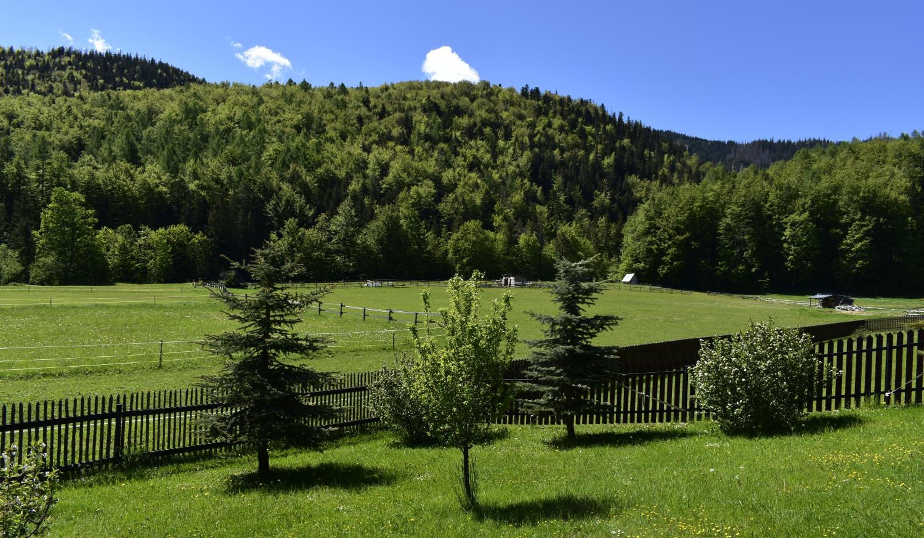 Apartament Rojka