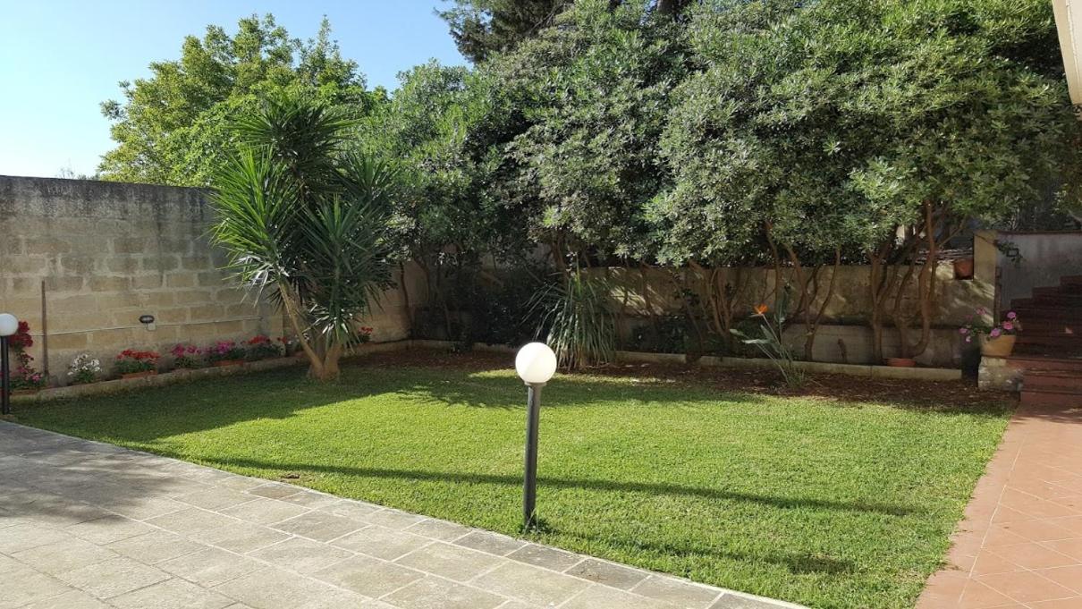 Photo 19