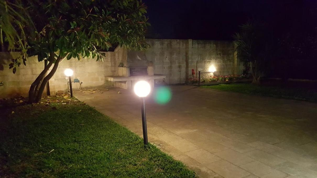 Photo 17